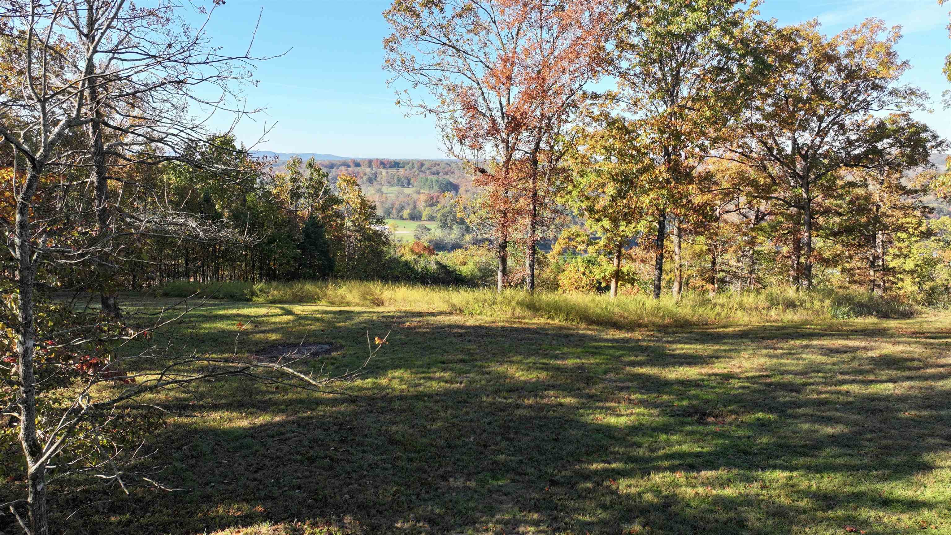 BIG TREE SUBDIVISION - Residential