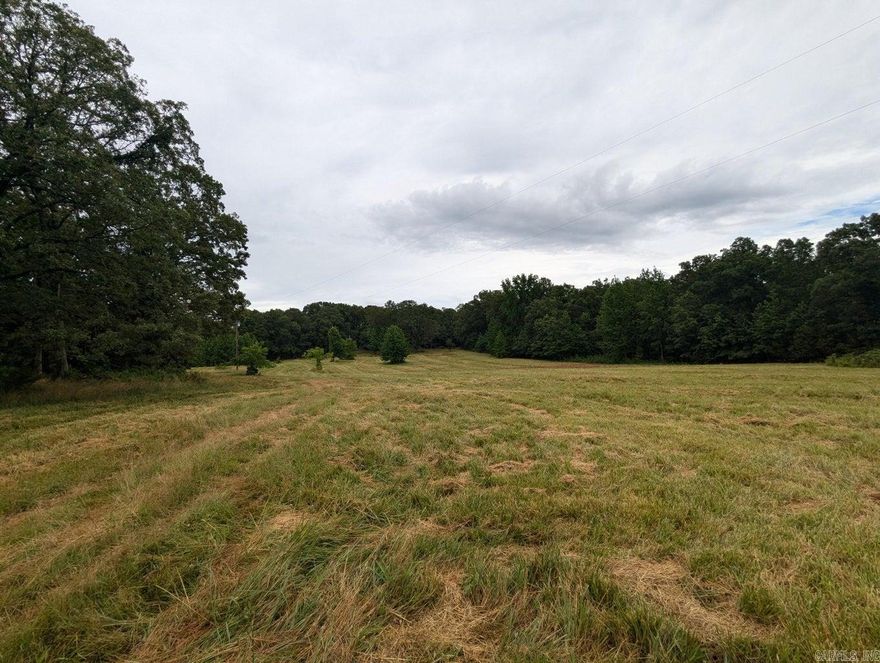 Looking for a private and beautiful property for your new home? This serene 2.35 acre lot is the peaceful setting you are looking for. The land has a mixture of pasture and forest. The lot has an existing septic tank, city water line, and electric hookup from a previously set mobile home. The current condition and age of the septic is unknown. The land sets off of a dead-end road. Two additional lots (5.03 & 2.67 acres) are for sale separately (see listings). All three lots will have the same restrictions. No permanent campers/RVs except for temporary use while building. If purchasing all 3 lots there will be no restrictions. Located between Charlotte and Cord. Property is Agent owned.