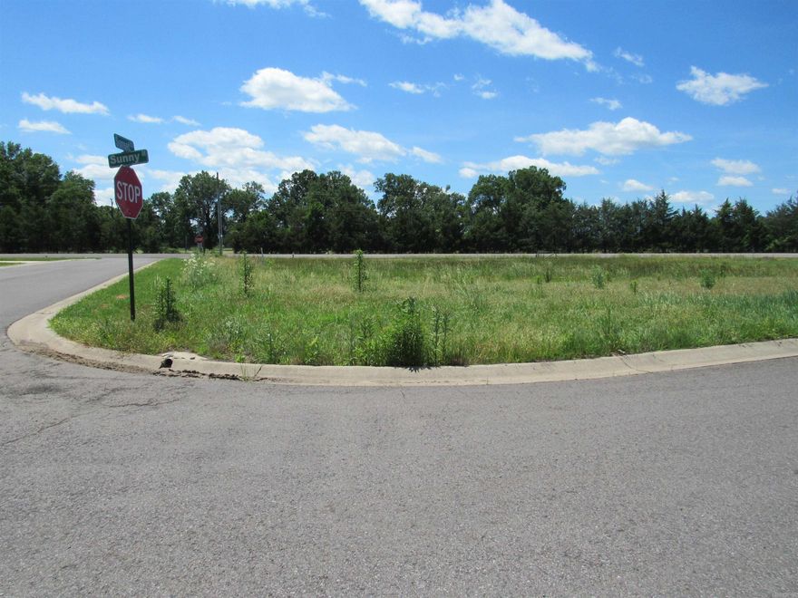 MORRILTON'S NEWEST SUBDIVISION!  ONLY 14 PREMIUM LOTS LEFT!! COME PICK YOURS TODAY.  RESTRICTIVE COVENANTS ARE AVAILABLE FOR YOU TO SEE.