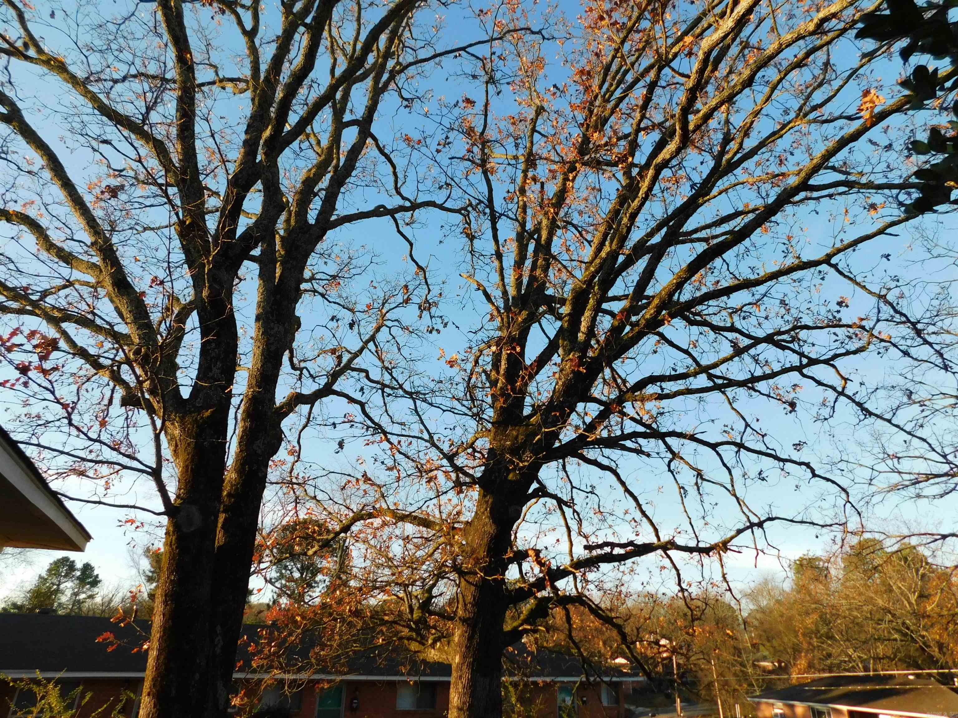 Park Hill - Residential Lease