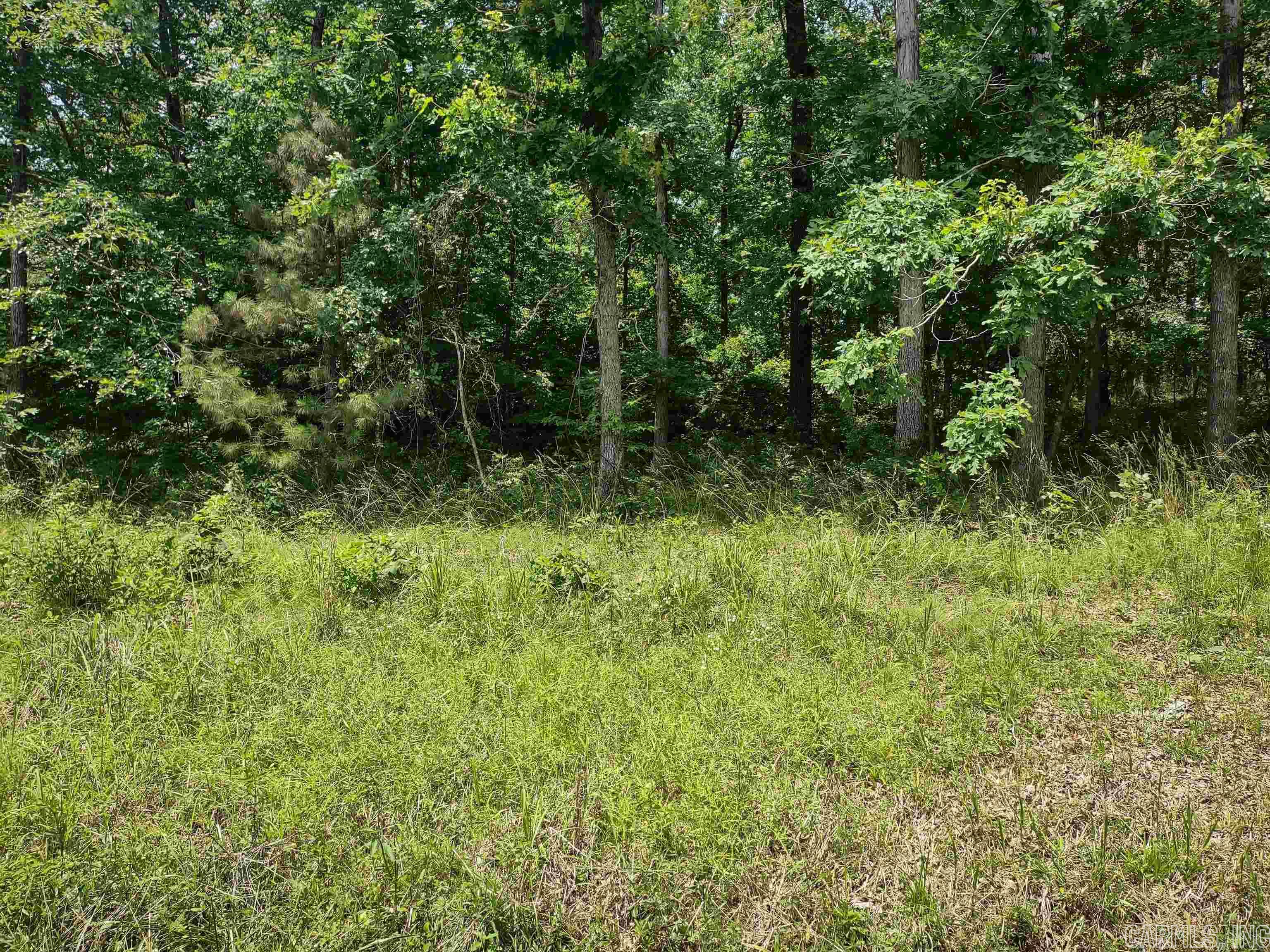 Investors...take a look at this one. Good buildable lot in Lakeside schools.... You can't beat the price! Everyone has lake access.