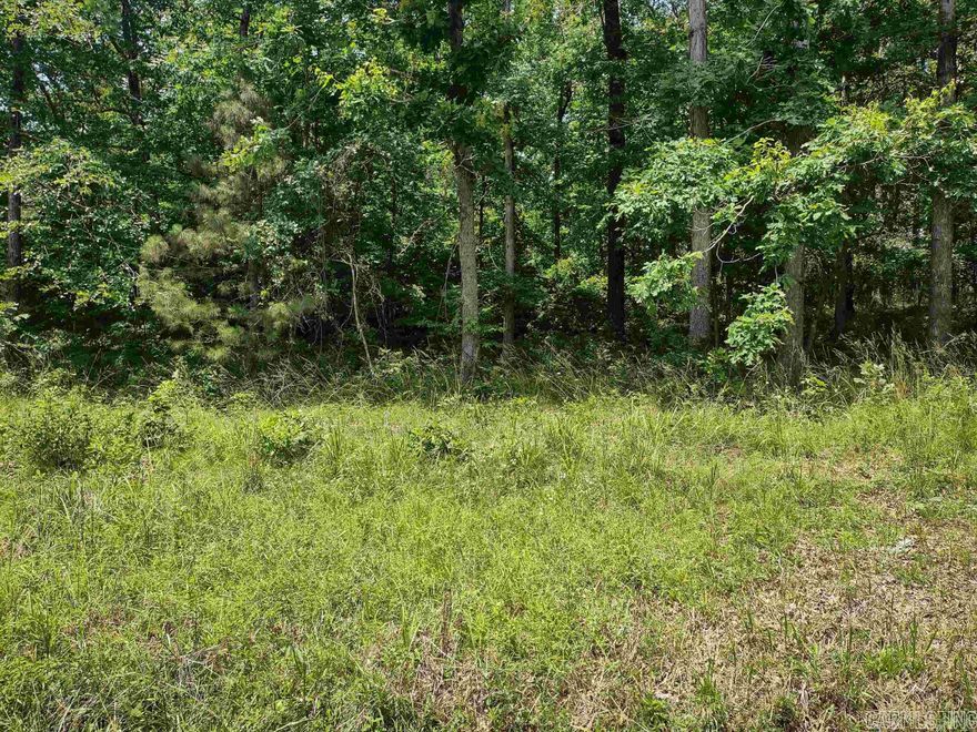 Investors...take a look at this one.  Good buildable lot in Lakeside schools.... You can't beat the price! Everyone has lake access.