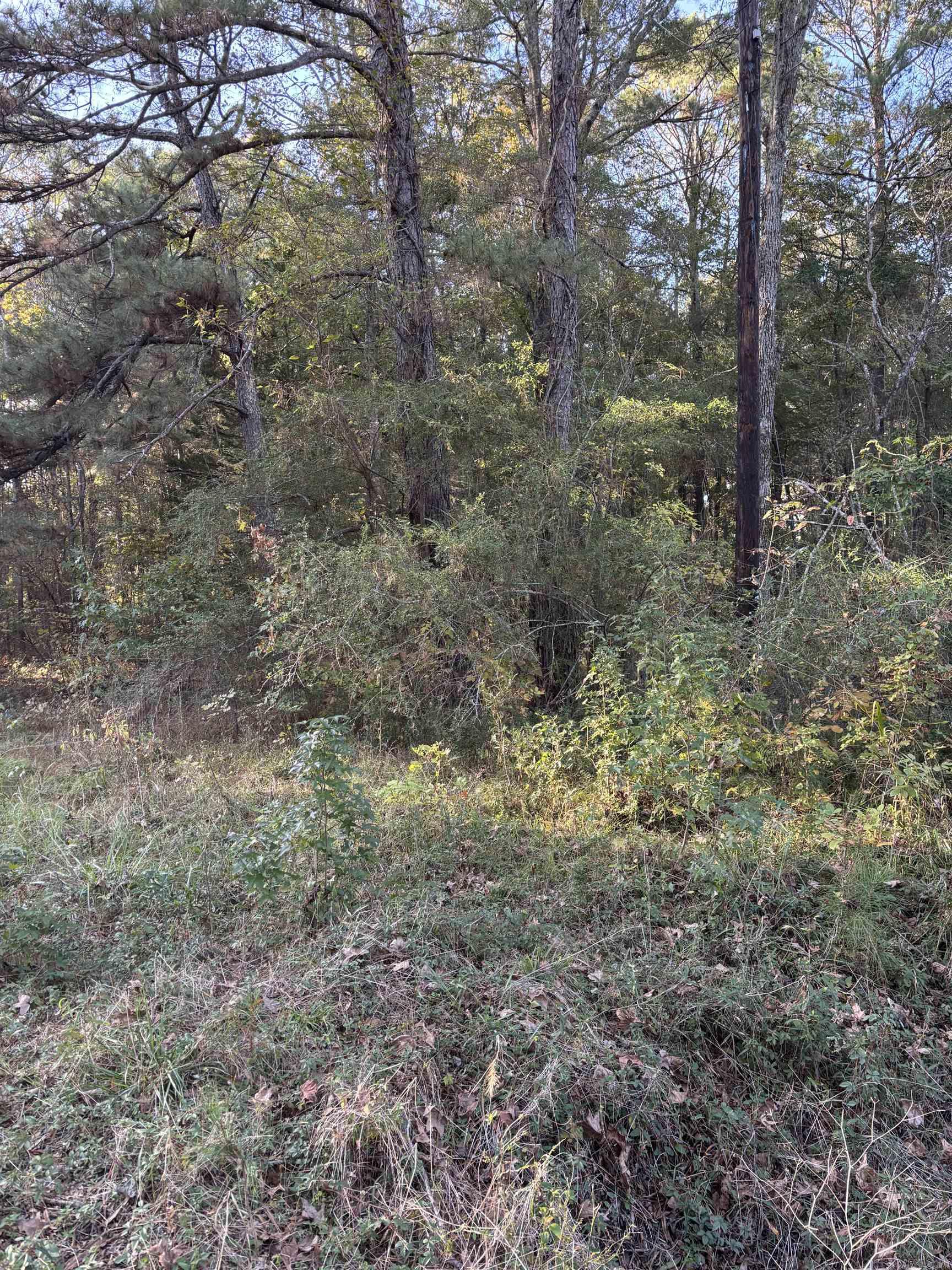 UNLOTTED CITY OF MUFREESBORO - Land