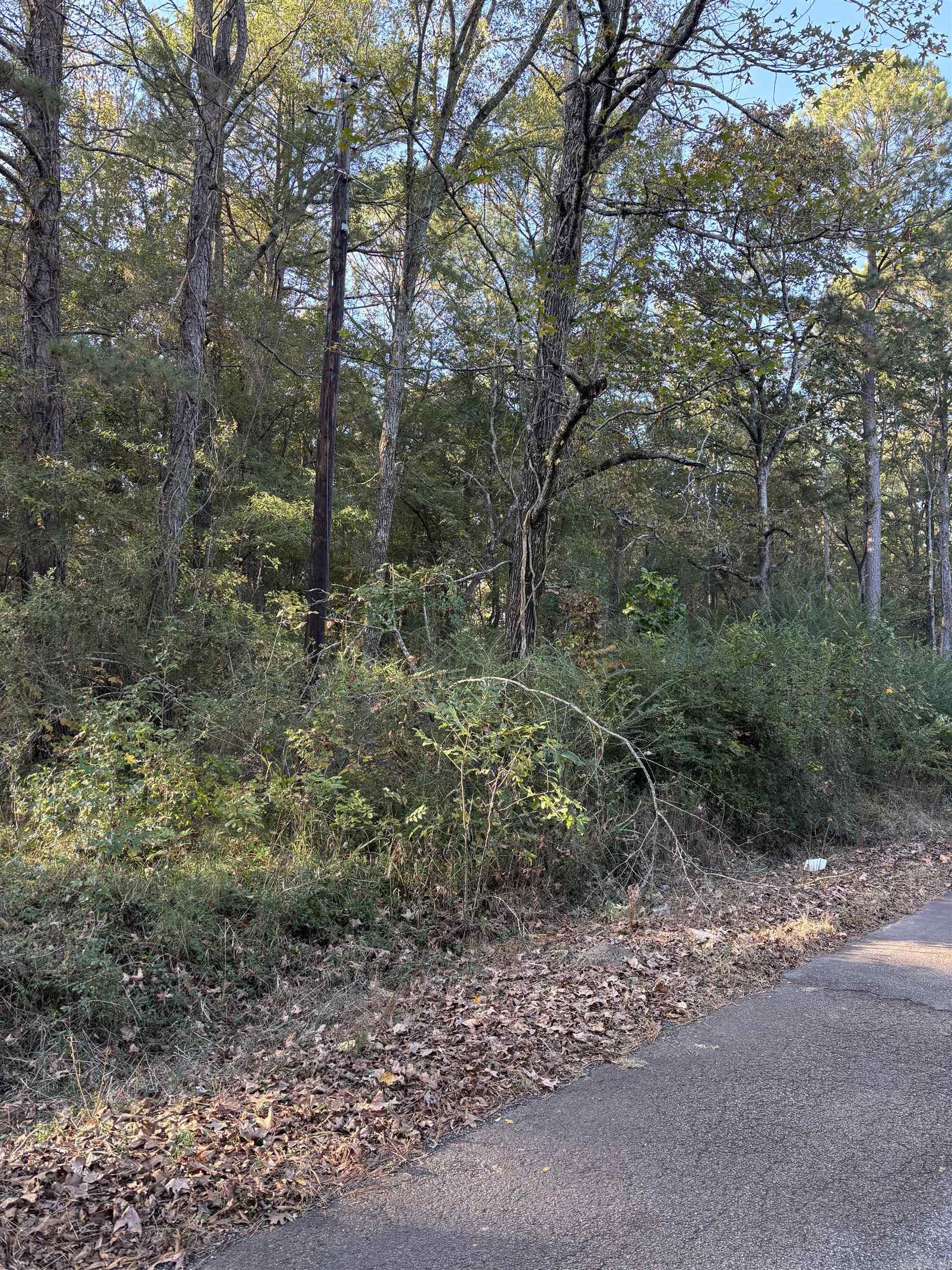 UNLOTTED CITY OF MUFREESBORO - Land