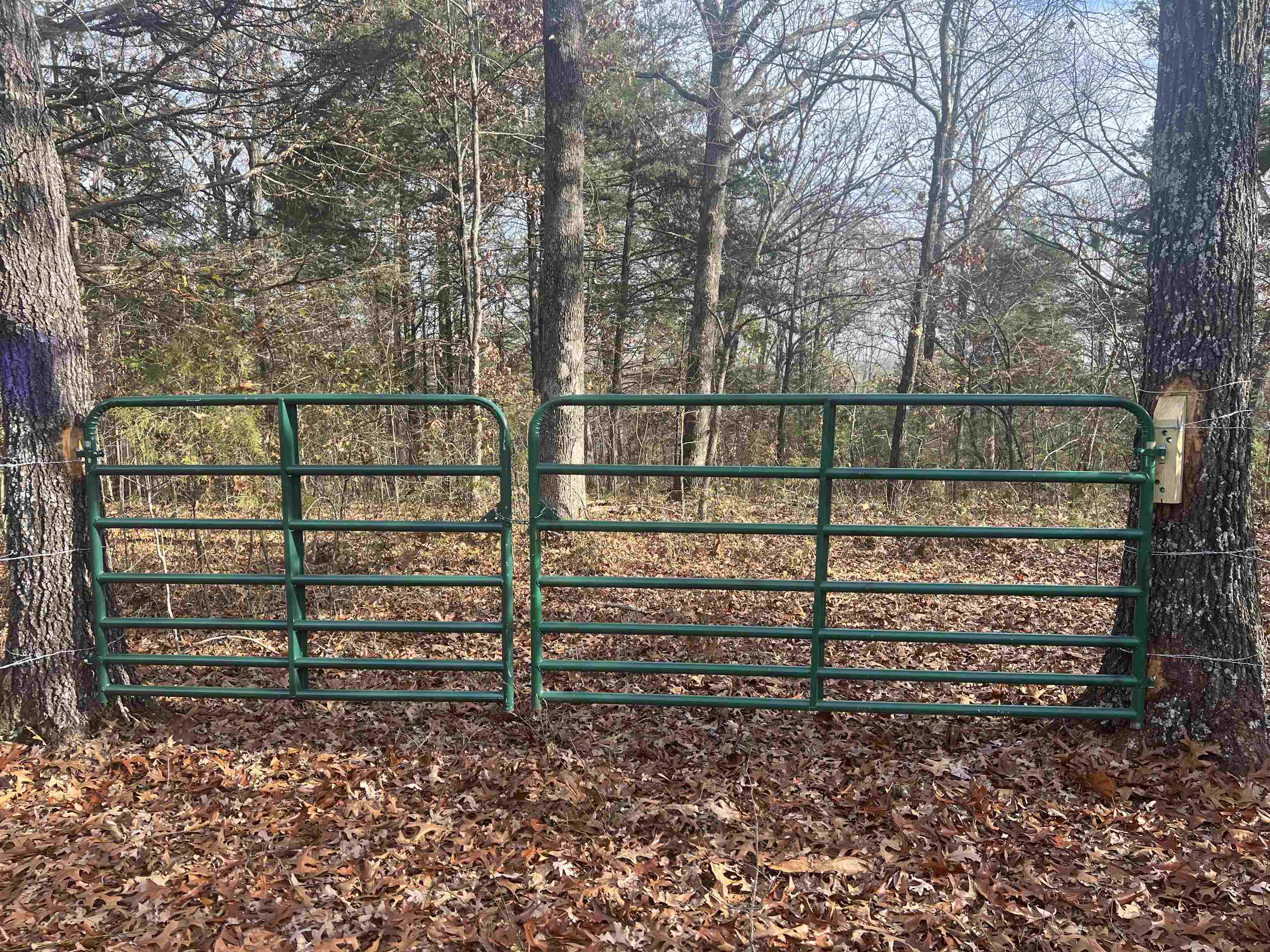 Beautiful partially cleared, but undeveloped land. Featuring new fencing and new gate, it's a great property for hunting, recreation or a great place to build. Perfect setting for a cabin. Breathtaking views on the drive to, and at the property.