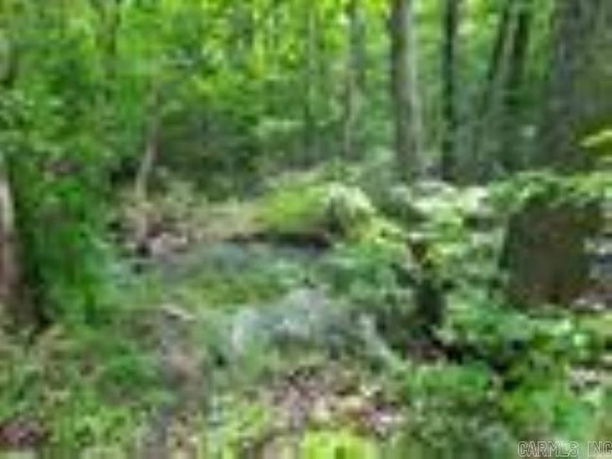 Looking for property large enough for some elbow room, but affordable, here it is!  6 acres of very pretty land, no restrictions, lays good, all wooded. Take a look.