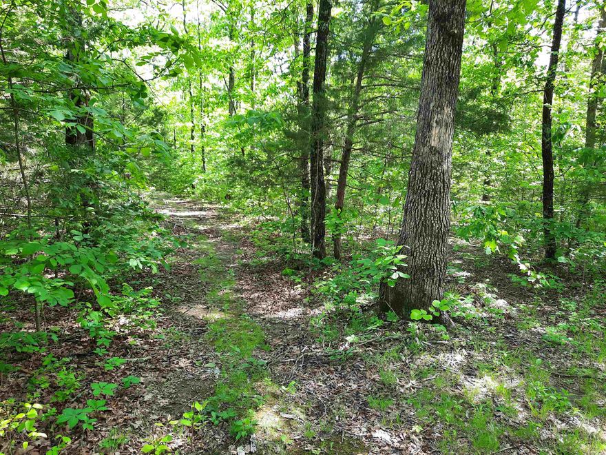 Looking for property large enough for some elbow room, but affordable, here it is!  6 acres of very pretty land, no restrictions, lays good, all wooded. Take a look.
