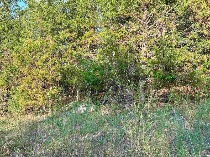Wooded 1.27 acre of bluff property on paved road aprox mile and half from beautiful Spring River perfect for kayaking, canoeing, or fishing the river. Electric runs in front of property.