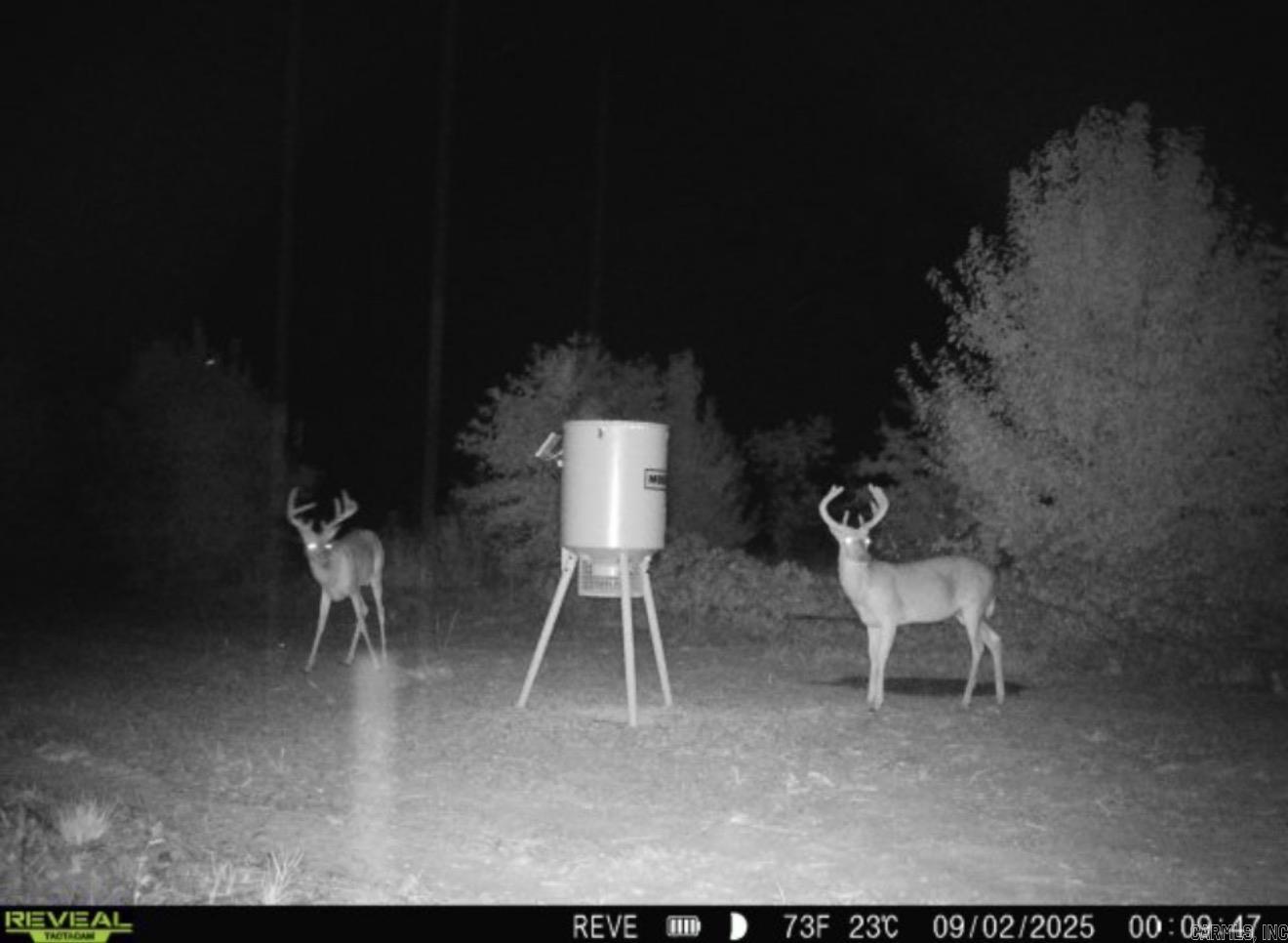 Metes & Bounds - Land