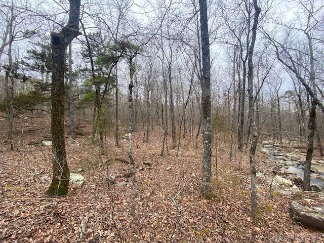 Holley Mountain Airpark - Land