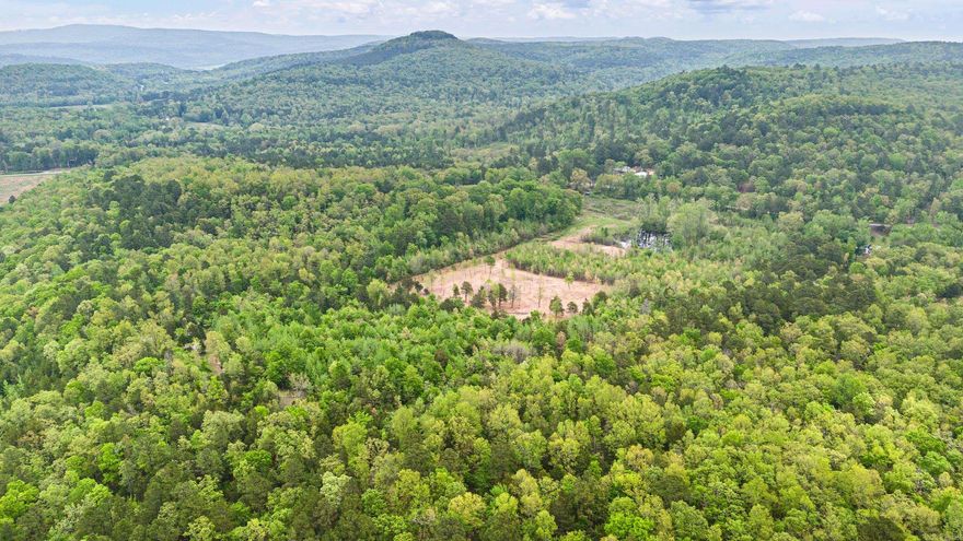 Sprawling across 30 acres of landscape, this parcel offers a rare opportunity for a private sanctuary. With mountains and Big Piney Creek nearby, beautiful trees and a pond on the property, the possibilities are as vast as the land itself. Ideal for those seeking a secluded retreat, this expansive property invites imagination and promises a lifestyle of tranquility, fun and natural beauty. The location offers so much for the outdoor enthusiast being less than 2 miles from the Twin Bridges (Big Piney Creek),  only 6 miles from Long Pool Recreation area and 10 miles from Macks Pines ATV Trails!!! This parcel is mostly wooded but has an area cleared that could make a great site for a cabin or your primary residence! Whether you are looking for the homesteading lifestyle, a piece of recreational property, a place to call home or a great place to build your cabin get away, you should come take a look at this desirable property and make it yours today! Agents see remarks for more info.