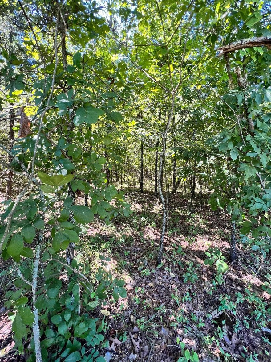 Beautiful acreage to build your dream home.  Unimproved land with mature trees for privacy.  Wonderful location surrounded by nice homes in a very desirable area of West Little Rock.