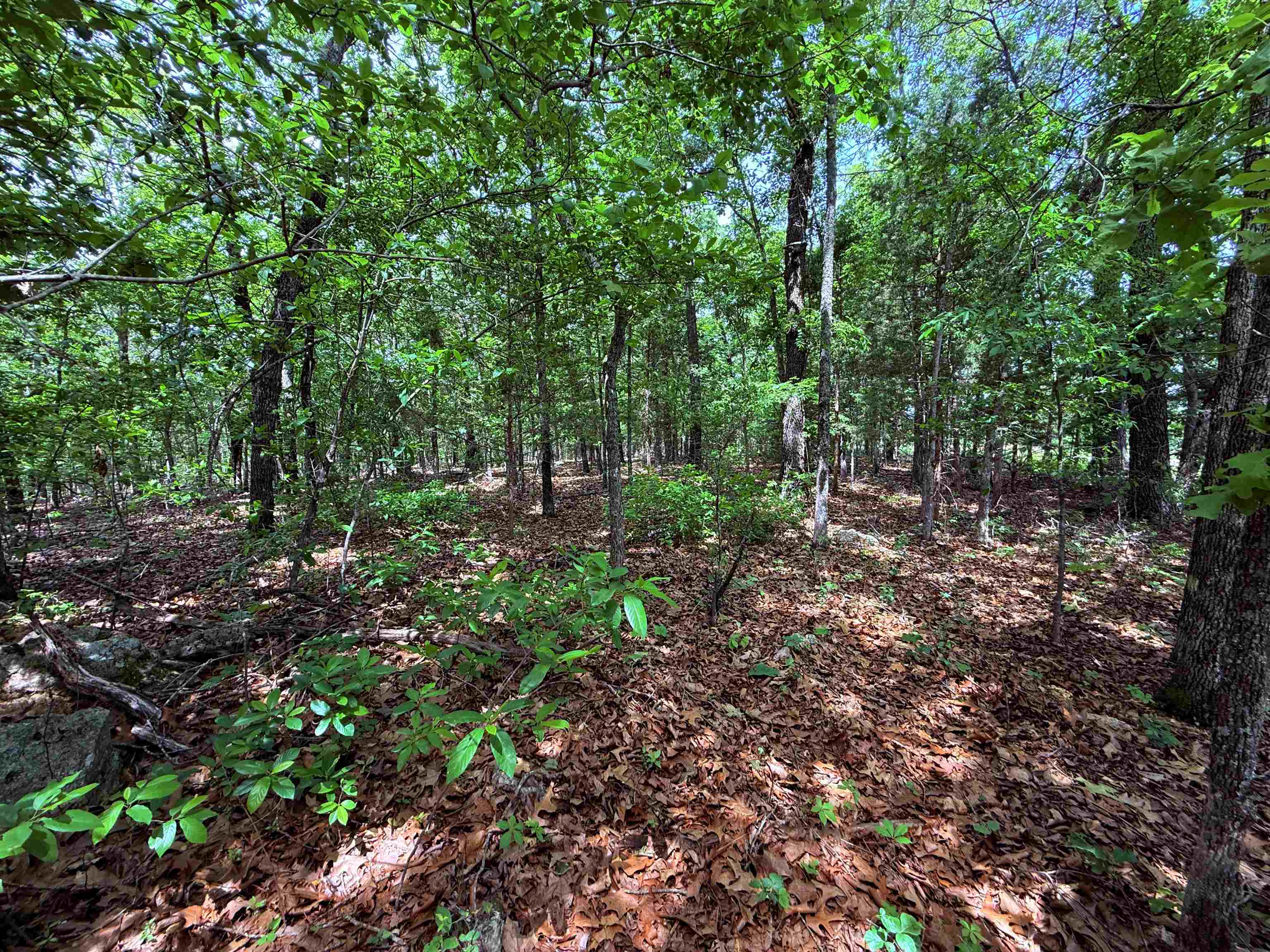 Metes & Bounds - Land