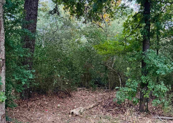 23 LEE LN, MABELVALE, AR 72103 - Image f30e64ea55f1f05ebfc7a8fd2e313589/416713965
