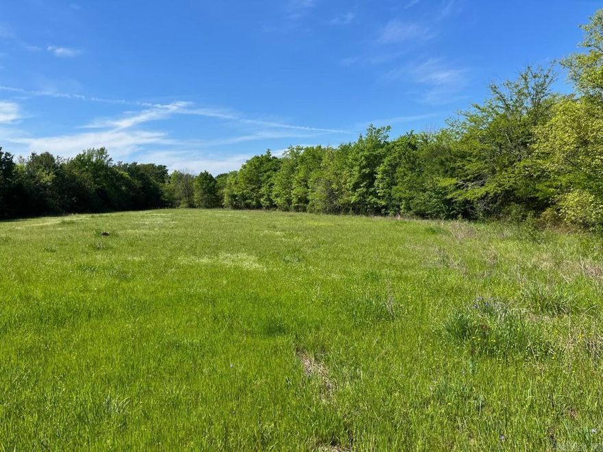 80 Acre Pasture & Recreation Land. Located just east of Texarkana, Arkansas. This property is great for cattle and hunting. AR HWY 296 runs through the middle of the property as does Finn Bayou.