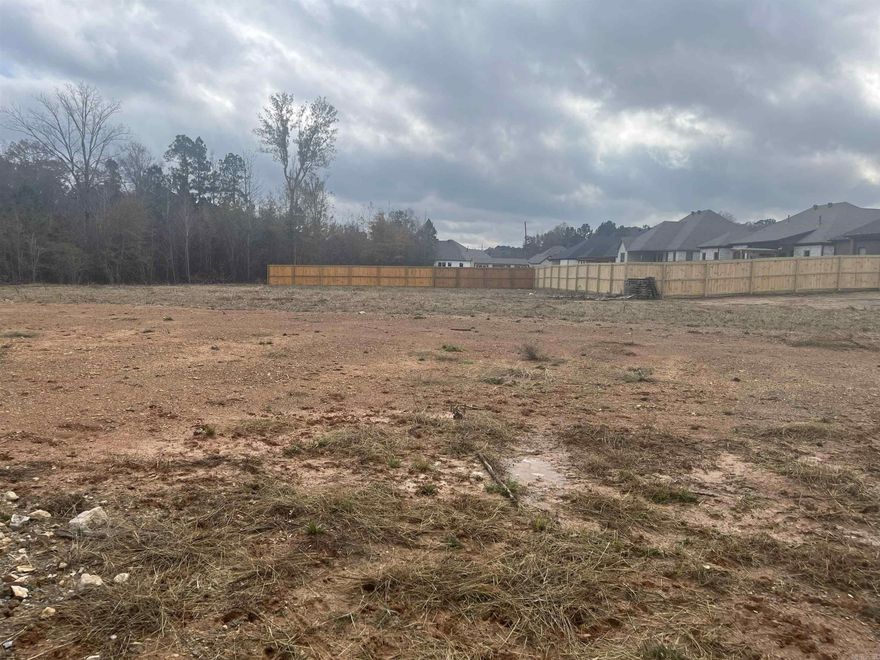 New lots in Creekside Subdivision. Best location in Bryant. Mostly cleared and ready to build. Plat and Bill of Assurance in docs. New street, address will not GPS. Use 6150 Creekwater, Alexander, AR.