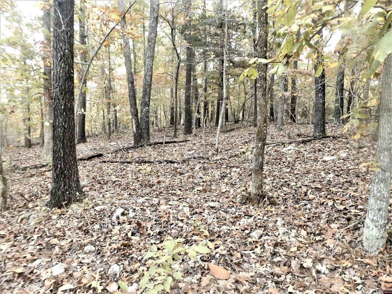 Not in Subdivision - Land