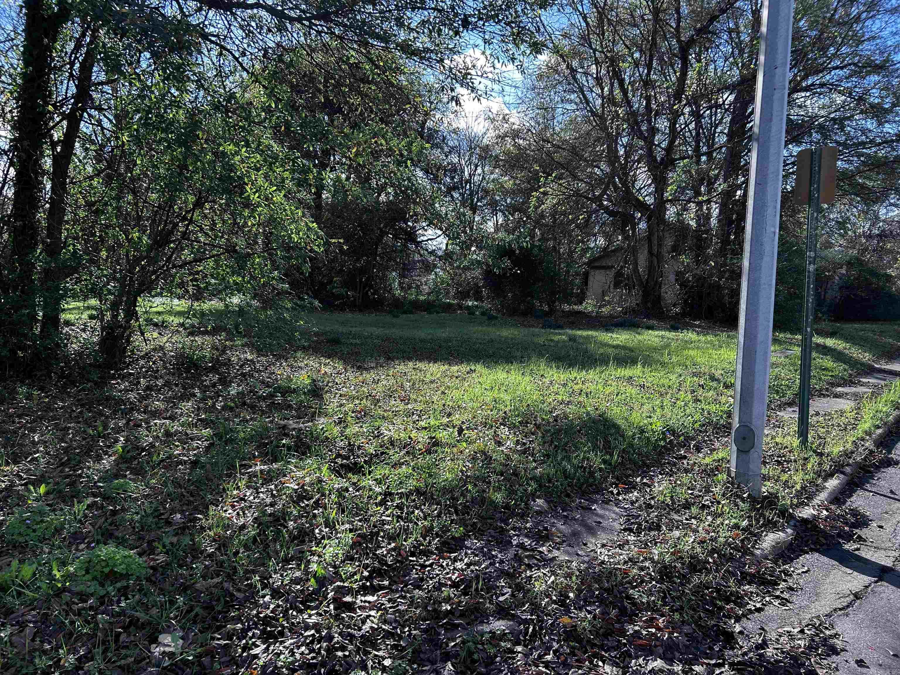 White Drew Survey #2 - Land