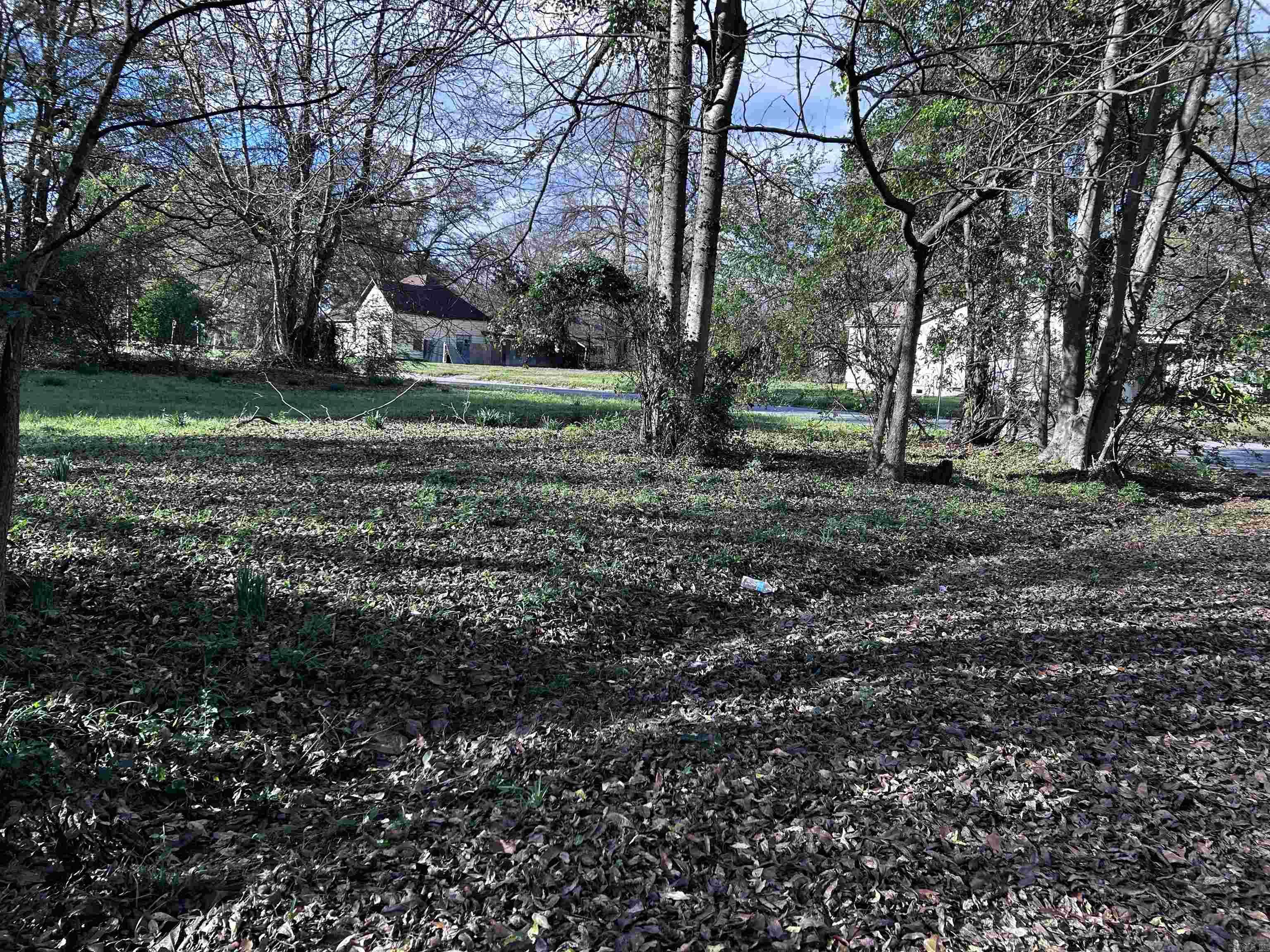 White Drew Survey #2 - Land