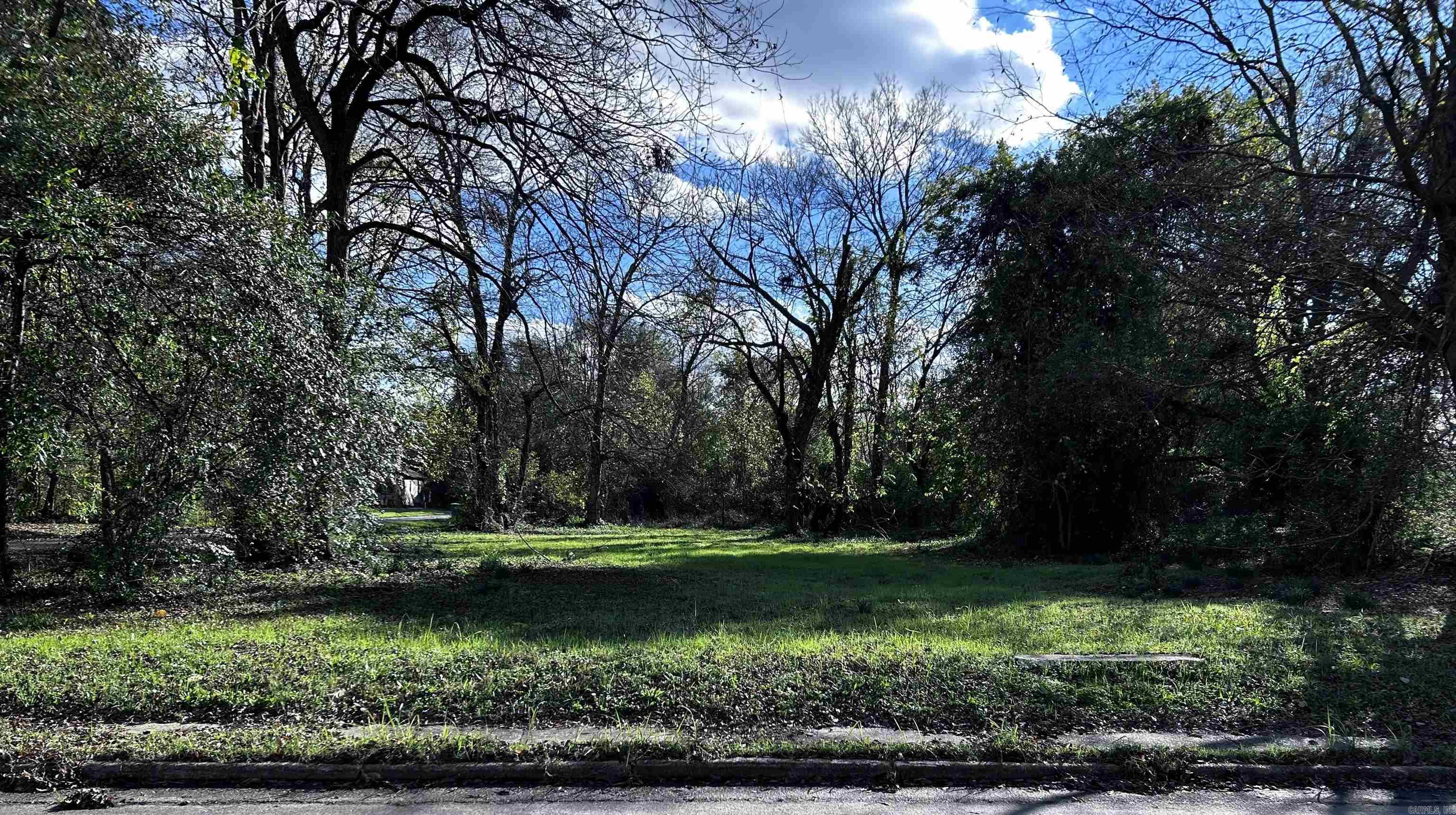 White Drew Survey #2 - Land