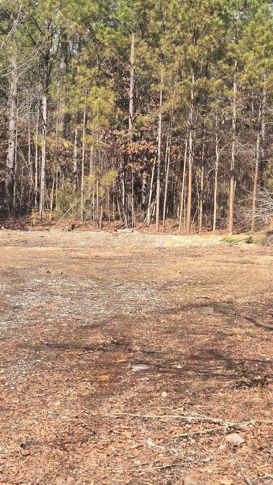 This property has utilities ready for New Home! Level acreage. Mobile homes allowed Road Frontage is not Maintained By county