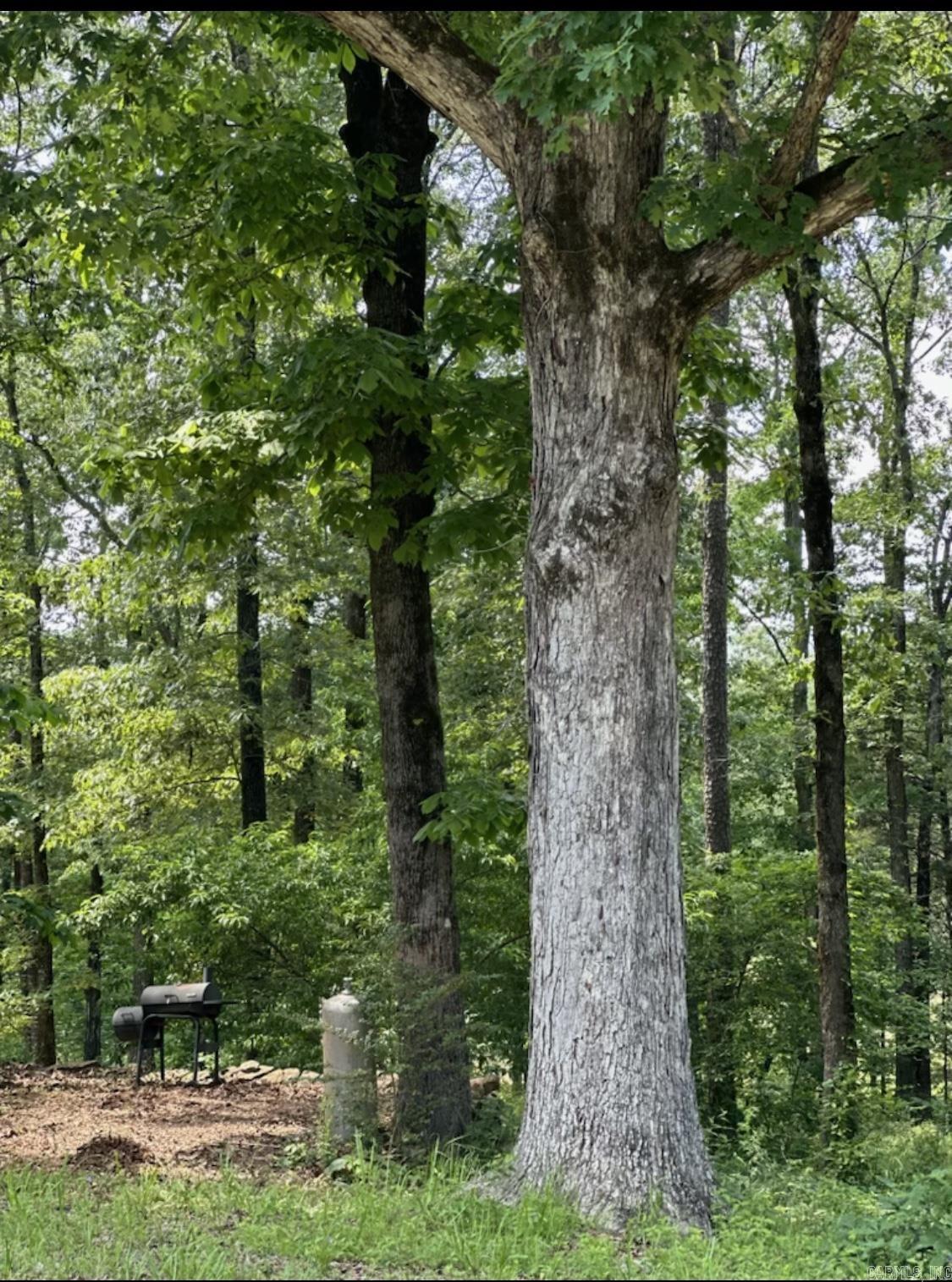 HOMER MICK - Residential