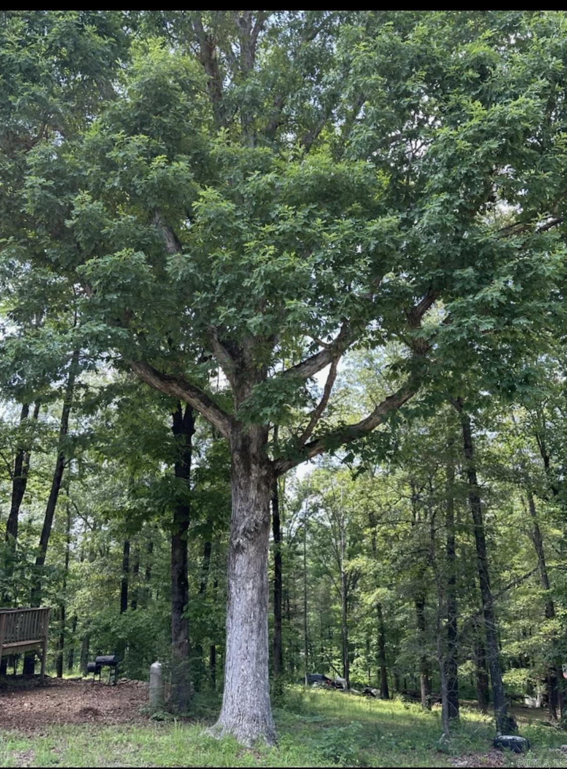 HOMER MICK - Residential