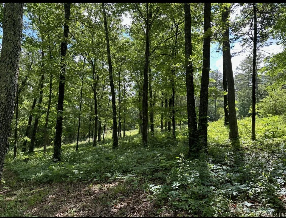 HOMER MICK - Residential