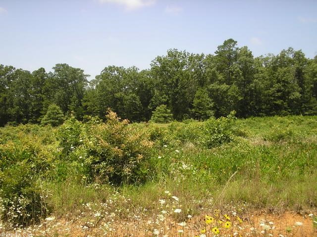 Farmers Woods - Land