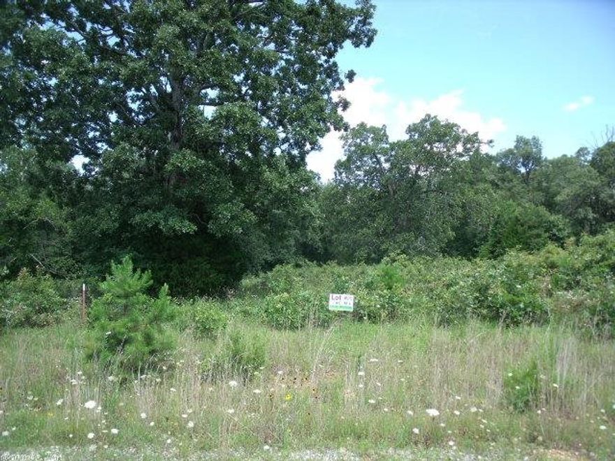 WONDERFULLY AFFORDABLE!  Quiet seclusion awaits when you build (or place) your home on these already perked, 1-2 acre lots. City water, electric and gas in this newly established neighborhood.