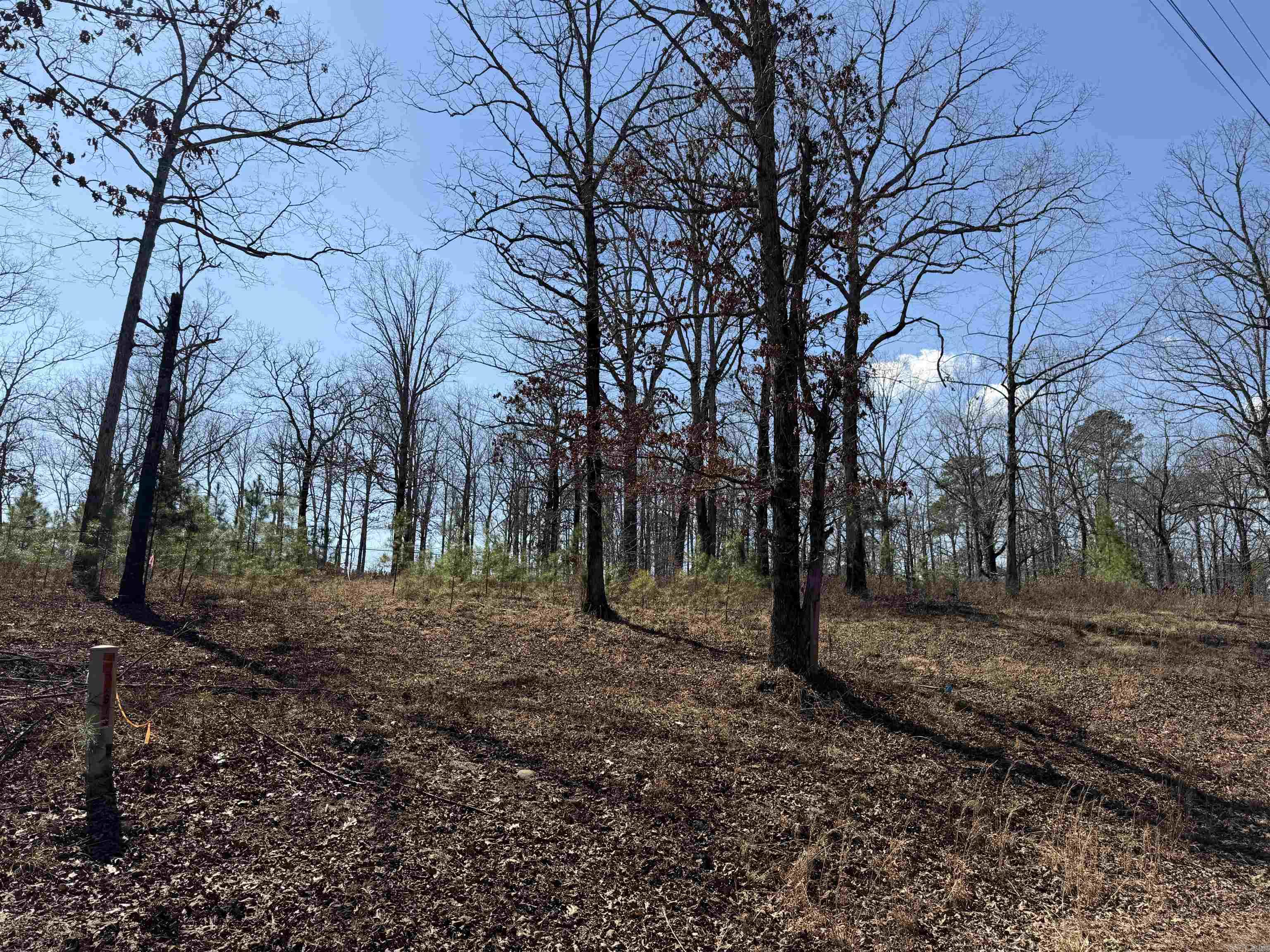 Metes & Bounds - Land