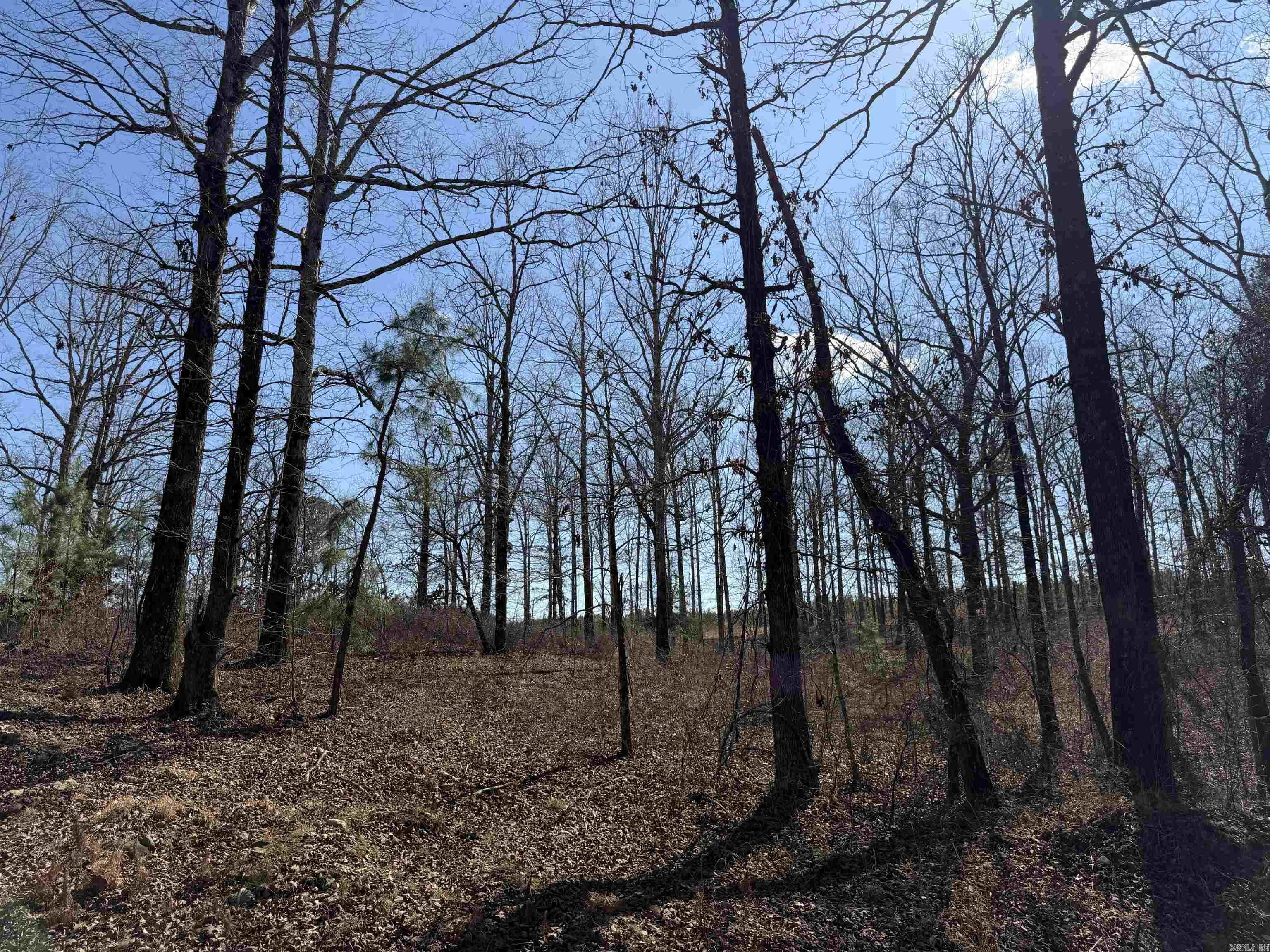 Metes & Bounds - Land