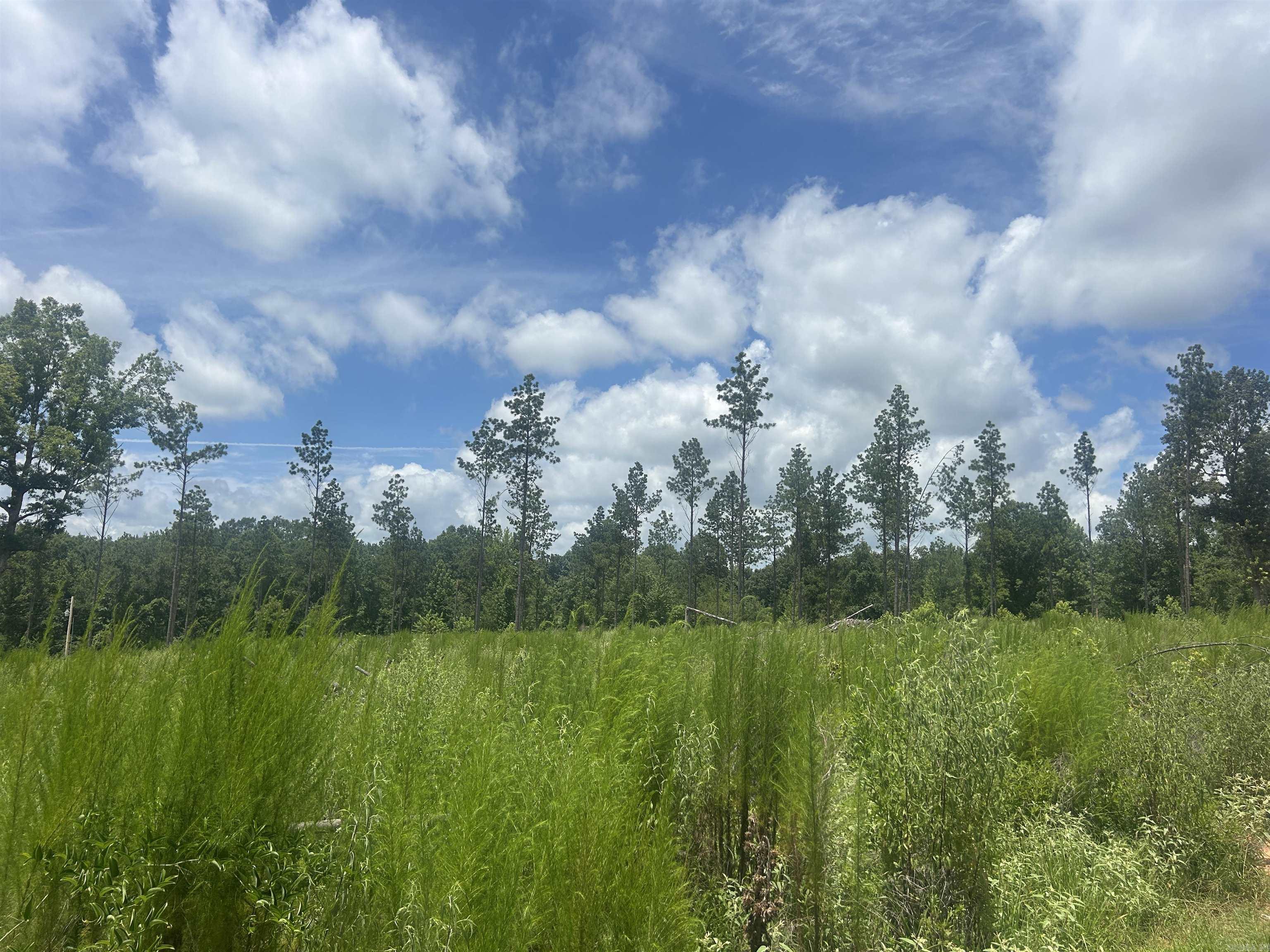 This tract is located in a nice area of new homes towards the end of the road for maximum privacy. Here is your chance to own acreage inside the city limits with a country feel! Restrictions and survey available under docs.