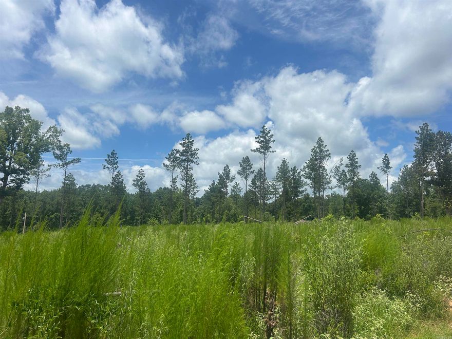 This tract is located in a nice area of new homes towards the end of the road for maximum privacy. Here is your chance to own acreage inside the city limits with a country feel! Restrictions and survey available under docs.