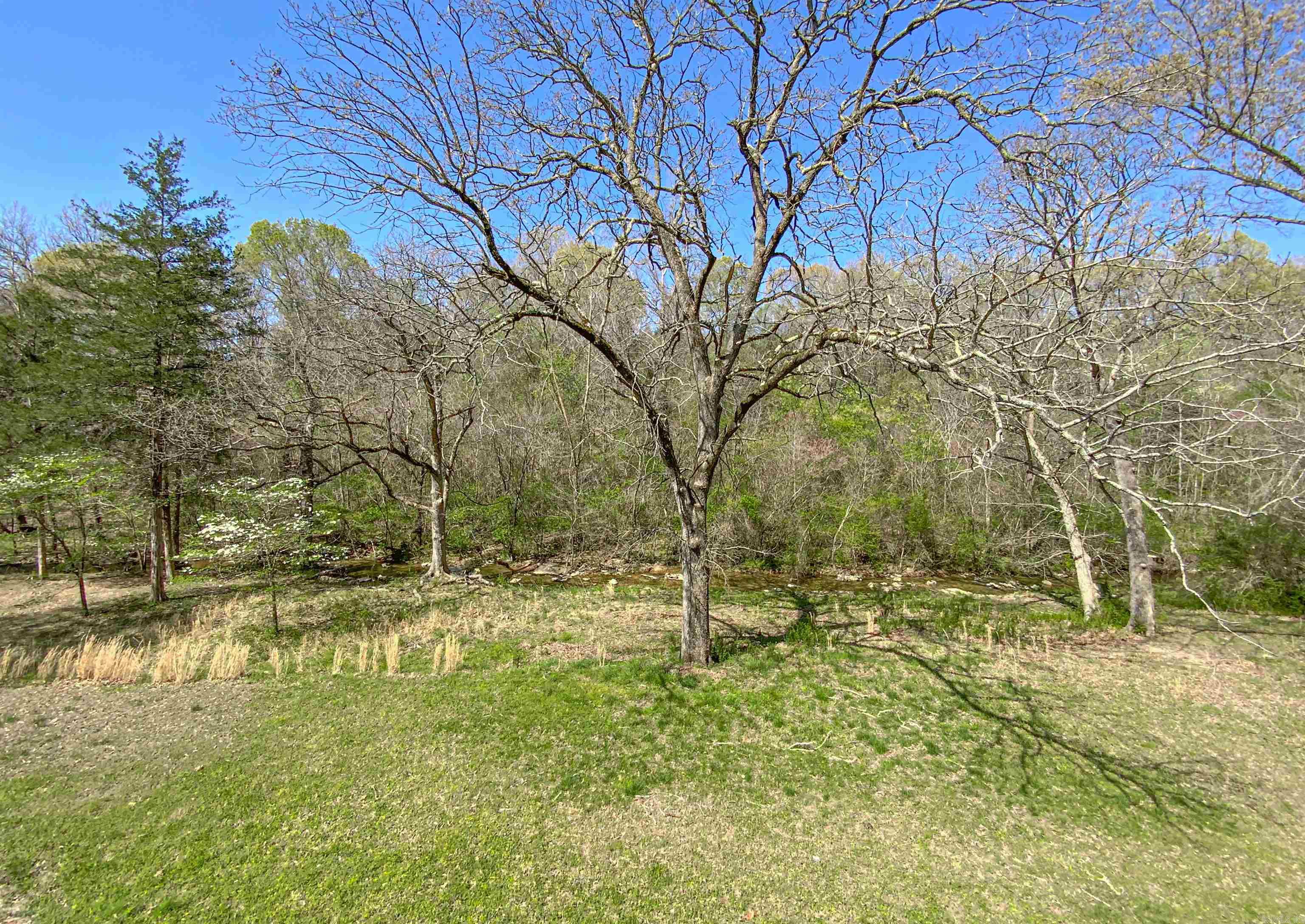 School View - Residential