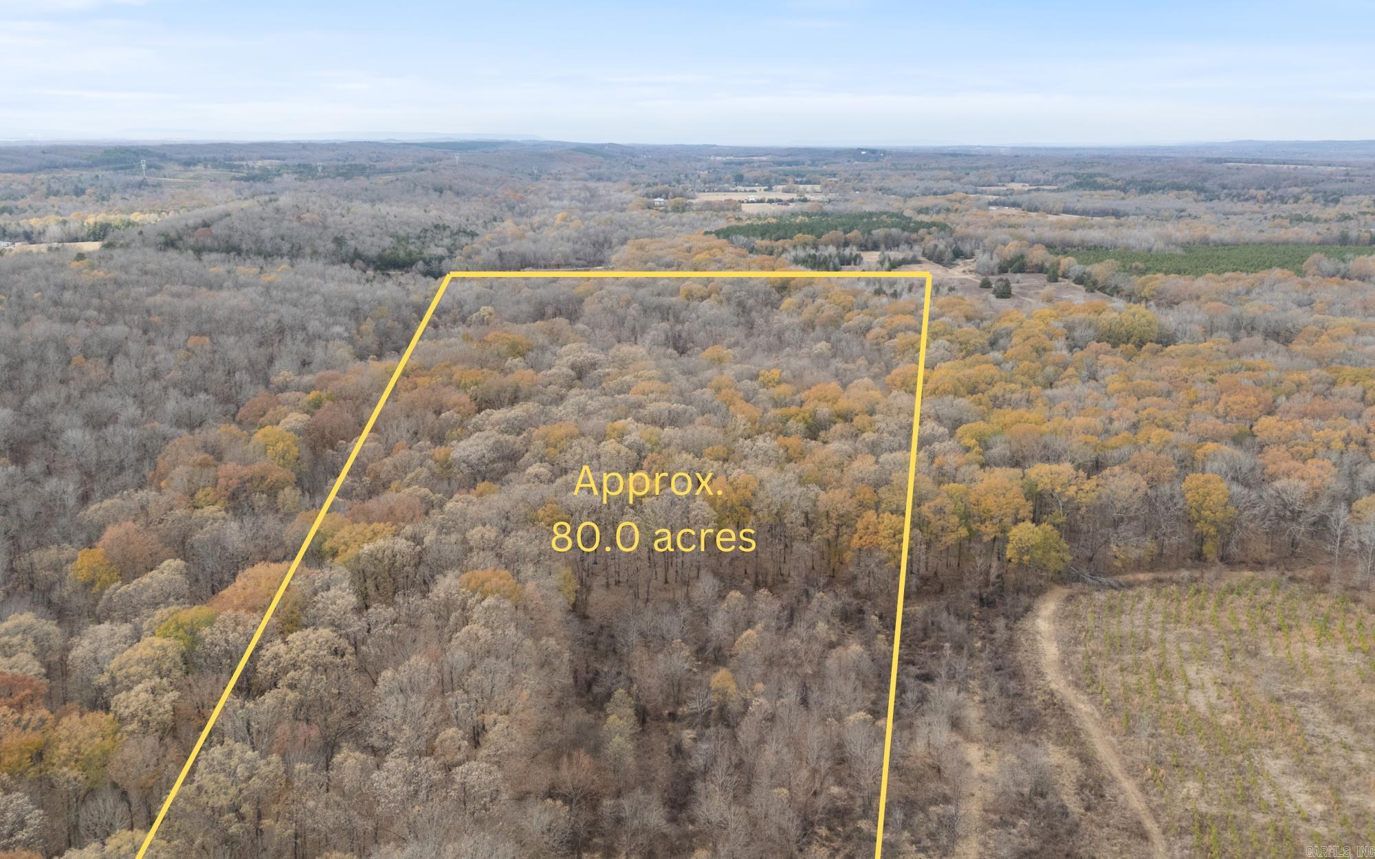 80 Acres of Prime Wooded Property located on the outskirts of Conway. No official address at this time- but this property has an easement to get to the property so you can enjoy seclusion. Great spot for Hunting and recreational activities or pick a spot to build while being close to the amentities of town. Call today for more information