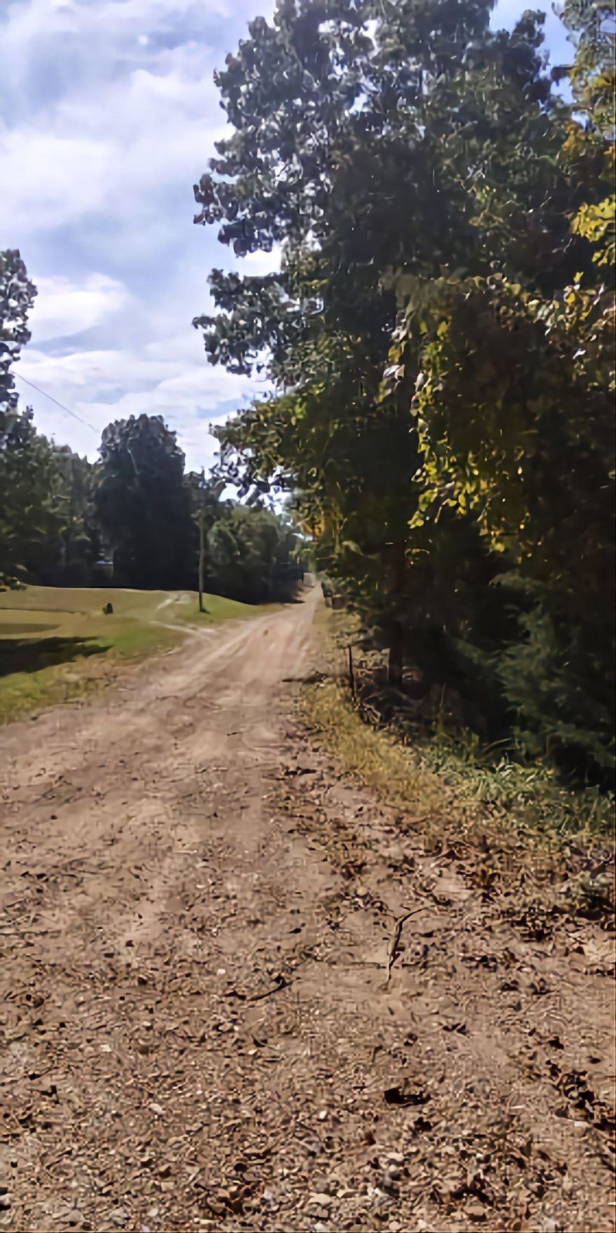 Wooded lot totaling 5 acres m/l near Viola, AR in Fulton county.