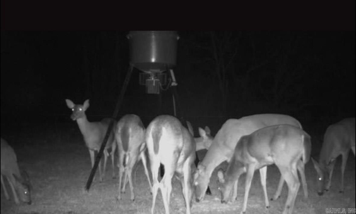 Damascus - Residential