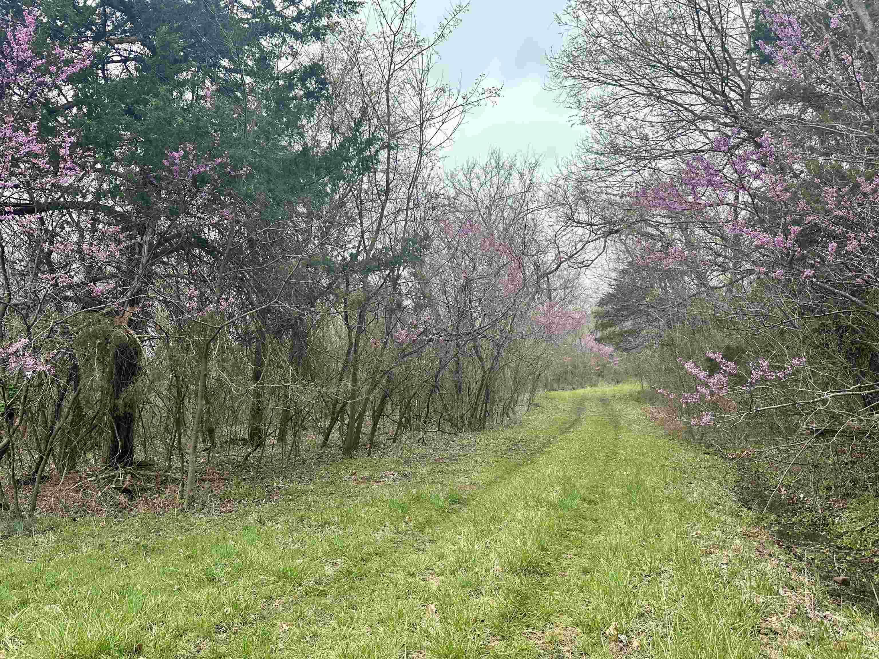 Round Mountain Estates - Land