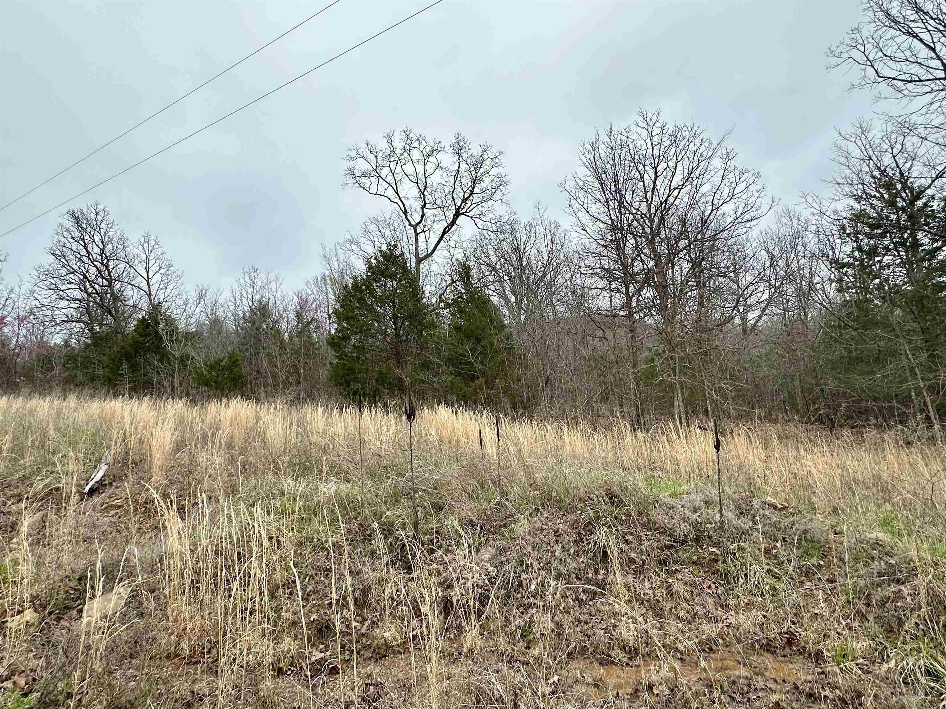 Round Mountain Estates - Land