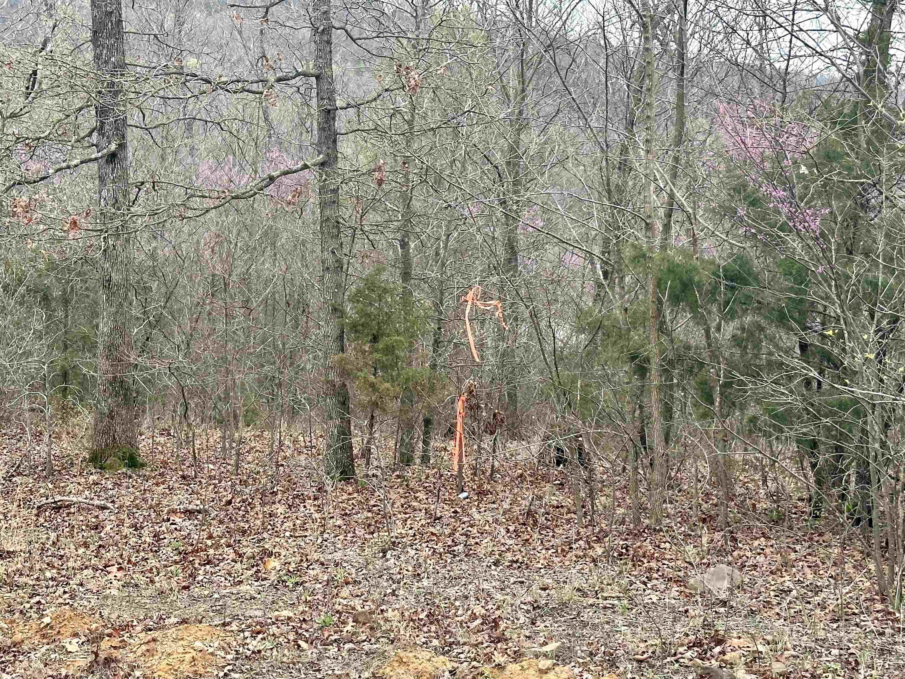 Round Mountain Estates - Land