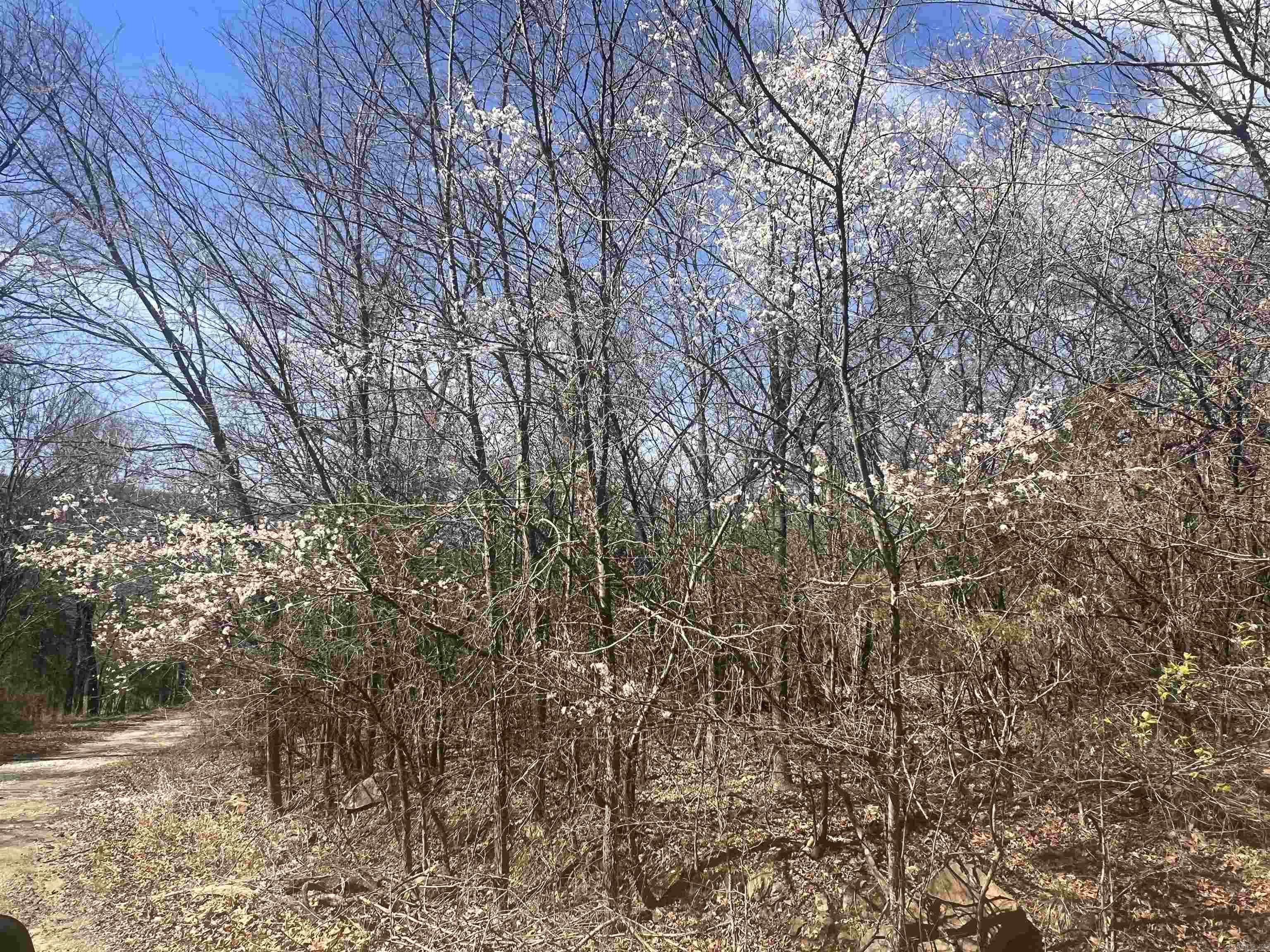 Round Mountain Estates - Land