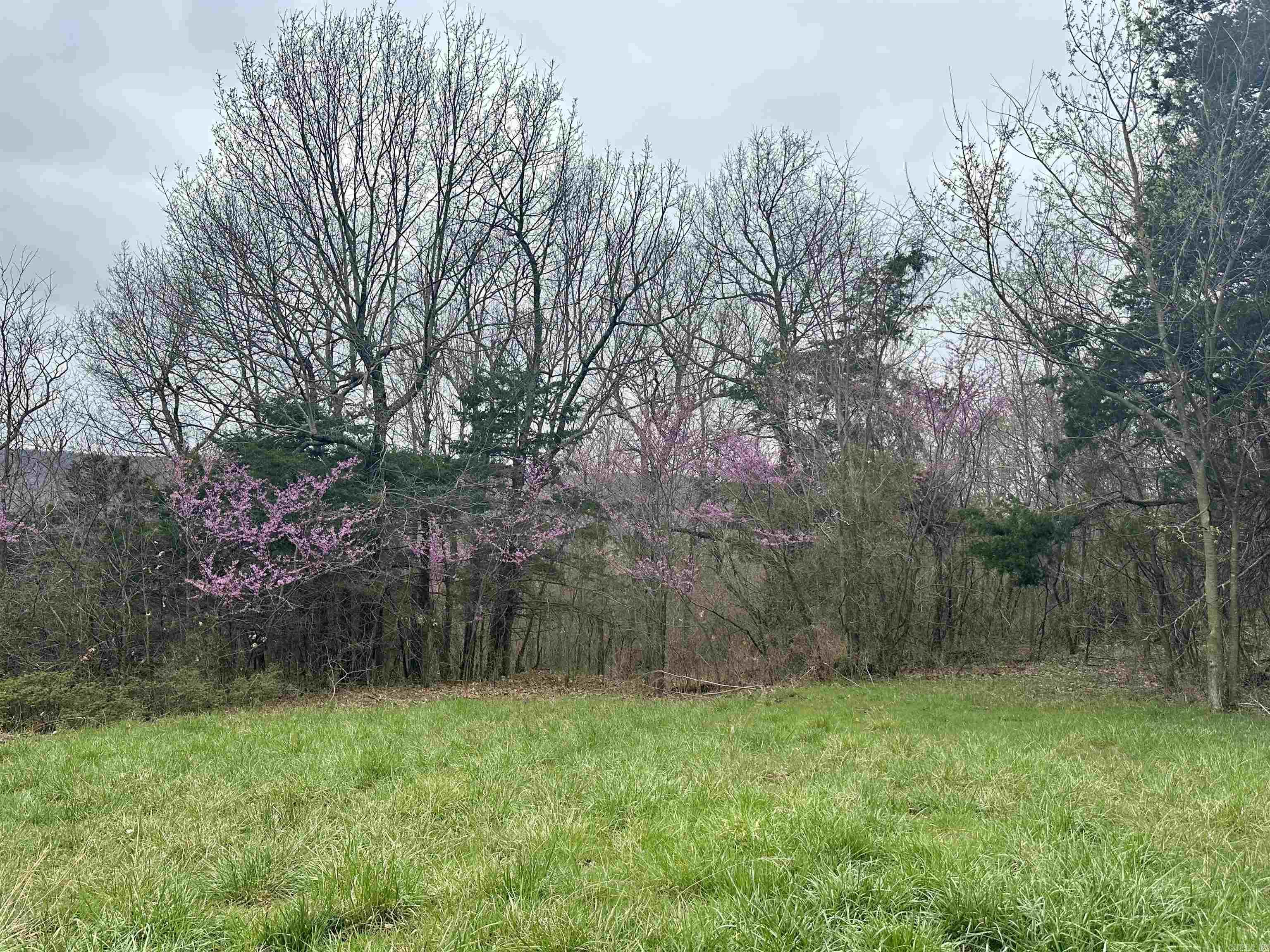 Round Mountain Estates - Land