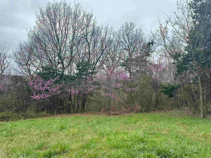 Own your piece of the Arkansas Ozarks! This undeveloped land in Green Forest offers a rare opportunity to create your perfect escape and indulge in your love for the outdoors. With 38.95 acres +/-, this property is a haven for deer hunting and turkey hunting enthusiasts. This property provides the ideal setting for your dream cabin, a weekend getaway, or a permanent home where you can connect with nature. Imagine waking up to the crisp morning air, the soothing sounds of nature, and the thrill of the hunt. Spend your days exploring the woods, tracking wildlife, or simply relaxing in the peace and quiet. Green Forest's location puts you close to all the best the Ozarks have to offer. Enjoy the charm of nearby towns, explore the stunning natural beauty of the region, or take advantage of the area's abundant recreational activities. Whether you're fishing on the Buffalo River, kayaking on serene lakes, or venturing into Ozark National Forest, there's something for everyone in this captivating region. Don't miss out on this chance to own a hunter's paradise! This undeveloped land is a blank slate waiting for your vision. Contact us today to schedule a showing!