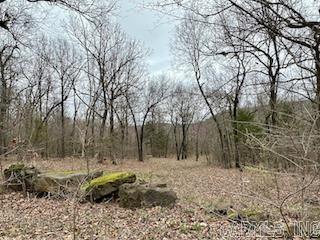 Round Mountain Estates - Land