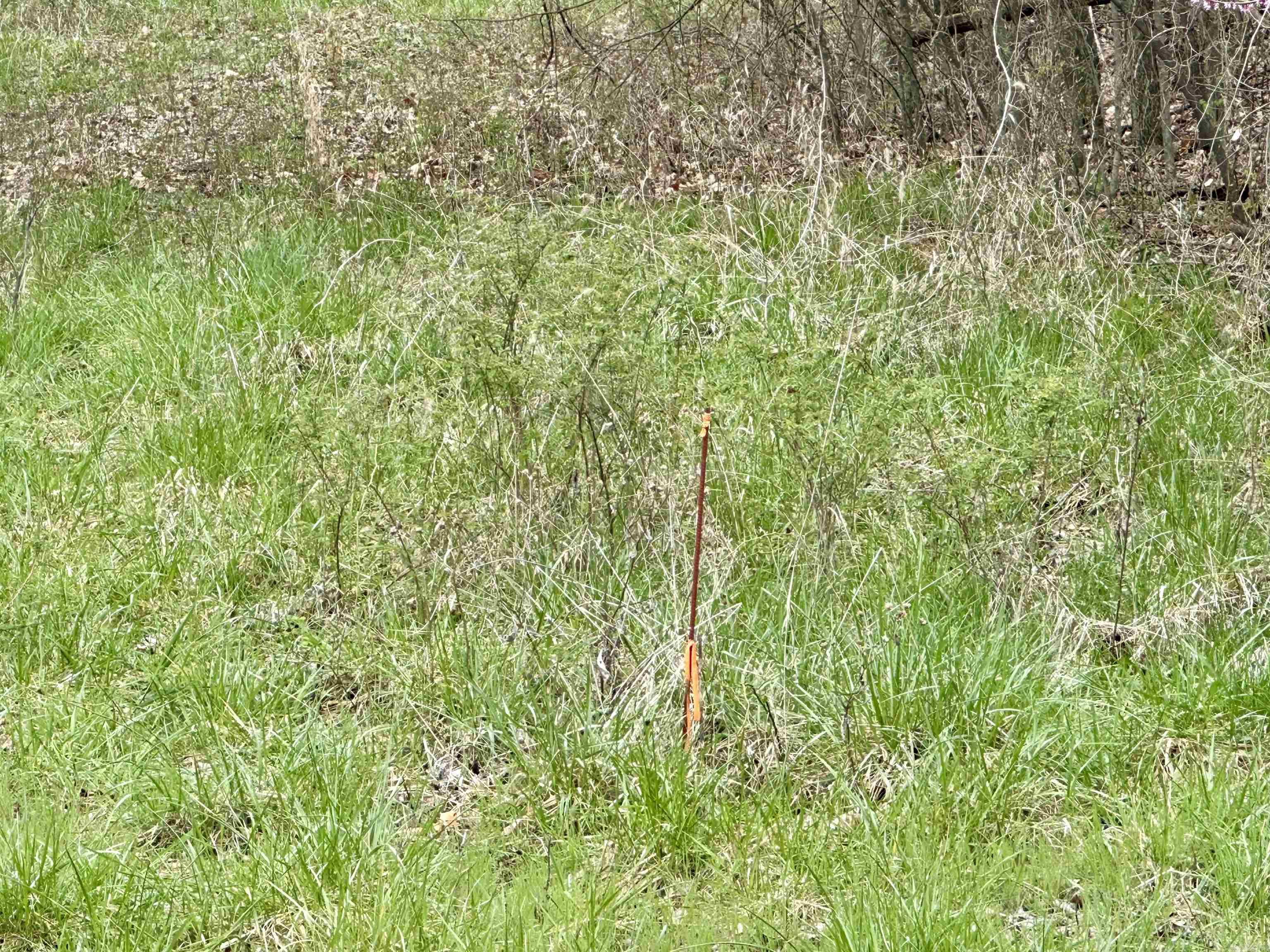 Round Mountain Estates - Land