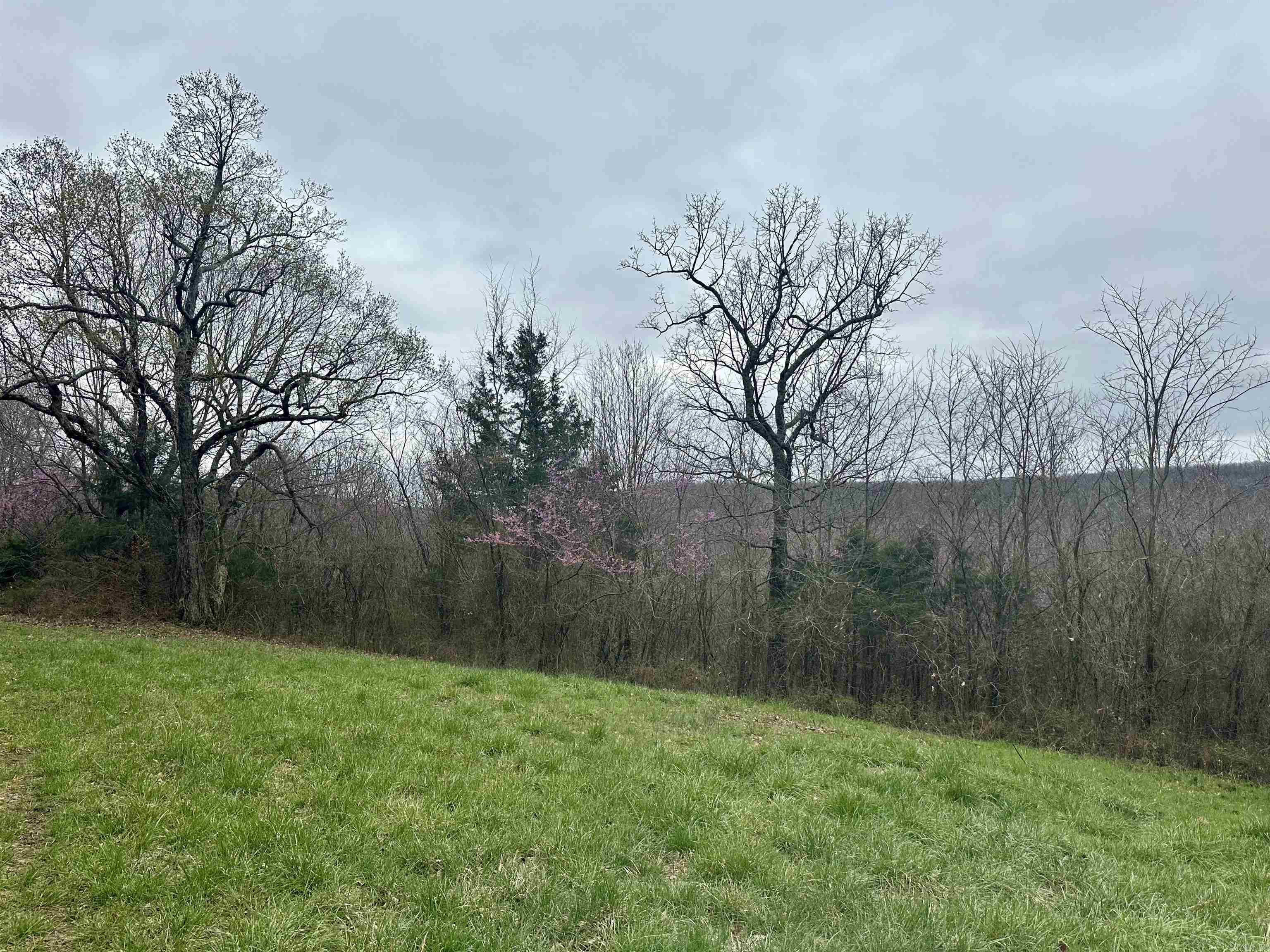 Round Mountain Estates - Land