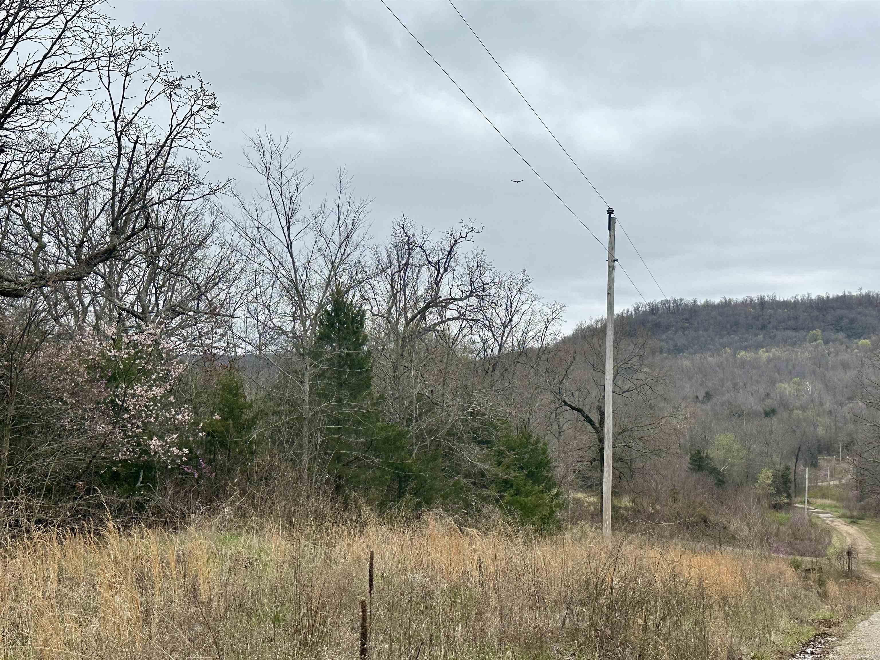 Round Mountain Estates - Land