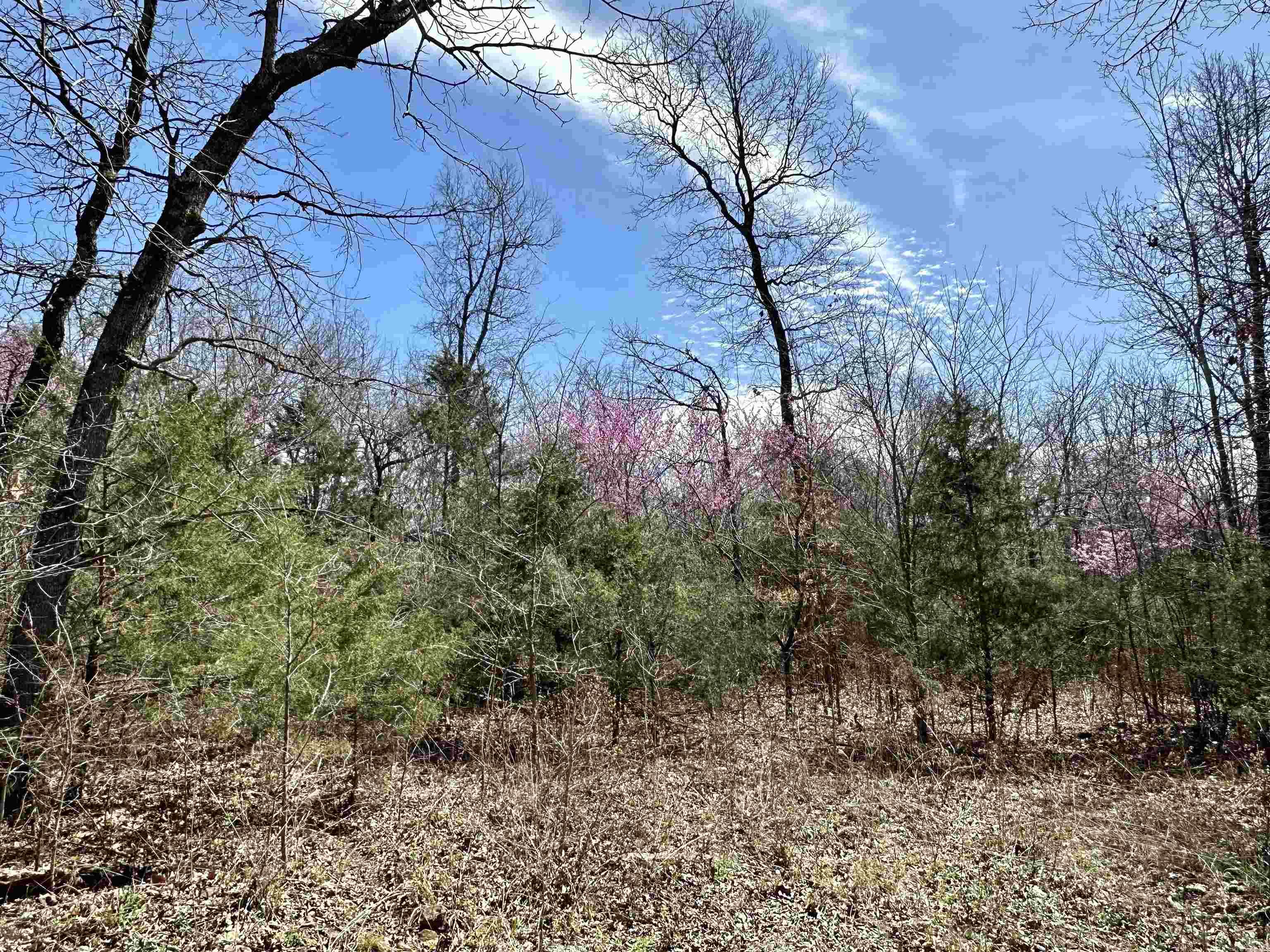 Round Mountain Estates - Land