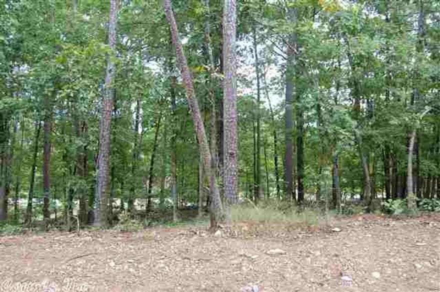 Newest Neighborhood in Chenal Valley.  Beautiful natural and private building sites with extensive green space.  Close to pool, Shopping at new Promenade at Chenal, and the new Chenal Elementary School.  Building requirements to mirror that of Maisons with minimum sq footages to be 2600 sq ft for a one level and 3000 sq ft for a multi level.  Wood or Wood clad windows are required as well as 9 1/2 min roof pitch.  Call Chenal Properties for Contracts and Documents.